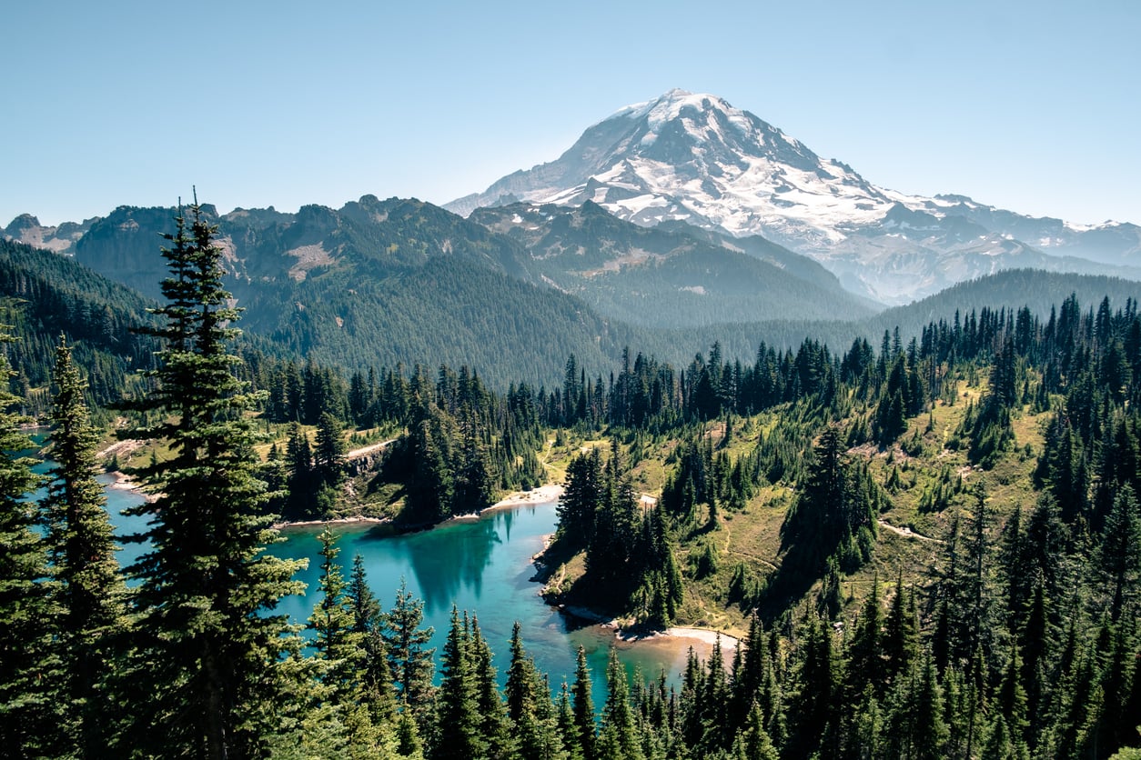 Snow-capped mountain in the background with a turquoise lake and dense evergreen forest in the foreground, all under a clear blue sky.