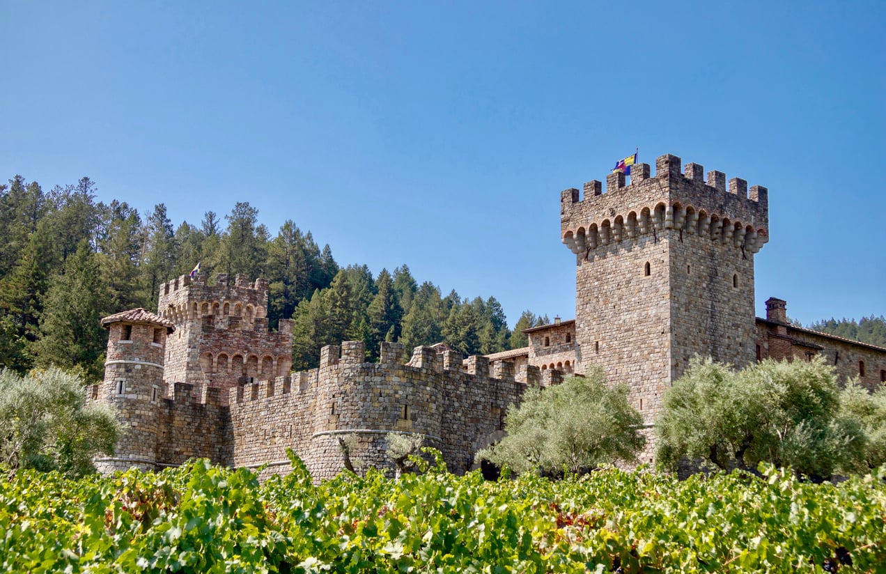 A majestic stone castle with towers and battlements stands amid lush green vineyards and trees under a clear blue sky, evoking the timeless charm of historic castles.