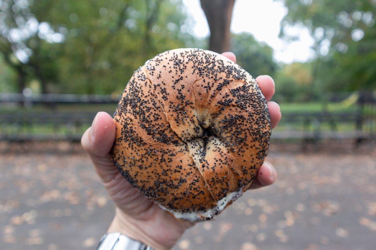 A hand holding a poppy seed bagel outdoors, with a blurry park and trees in the background.