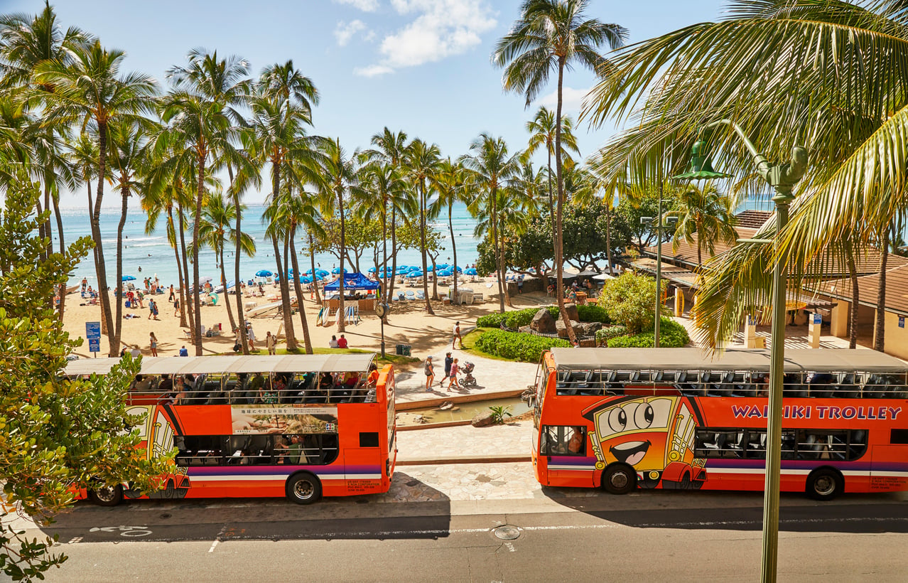 Two bright orange Waikiki Trolley buses pass by a palm-lined beach with people, umbrellas, and the ocean in the background under a sunny sky.