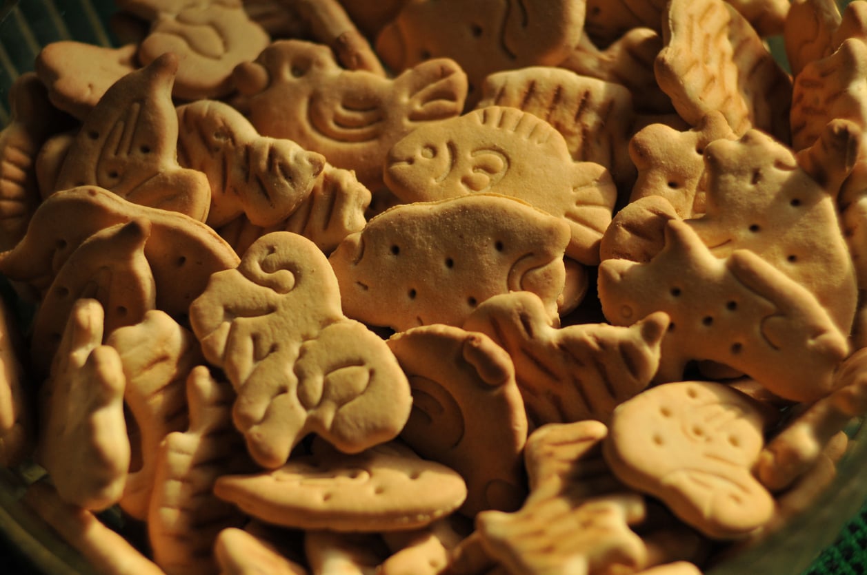 A close-up of assorted animal-shaped crackers, including fish, elephants, and ducks, piled together in a container with warm lighting.