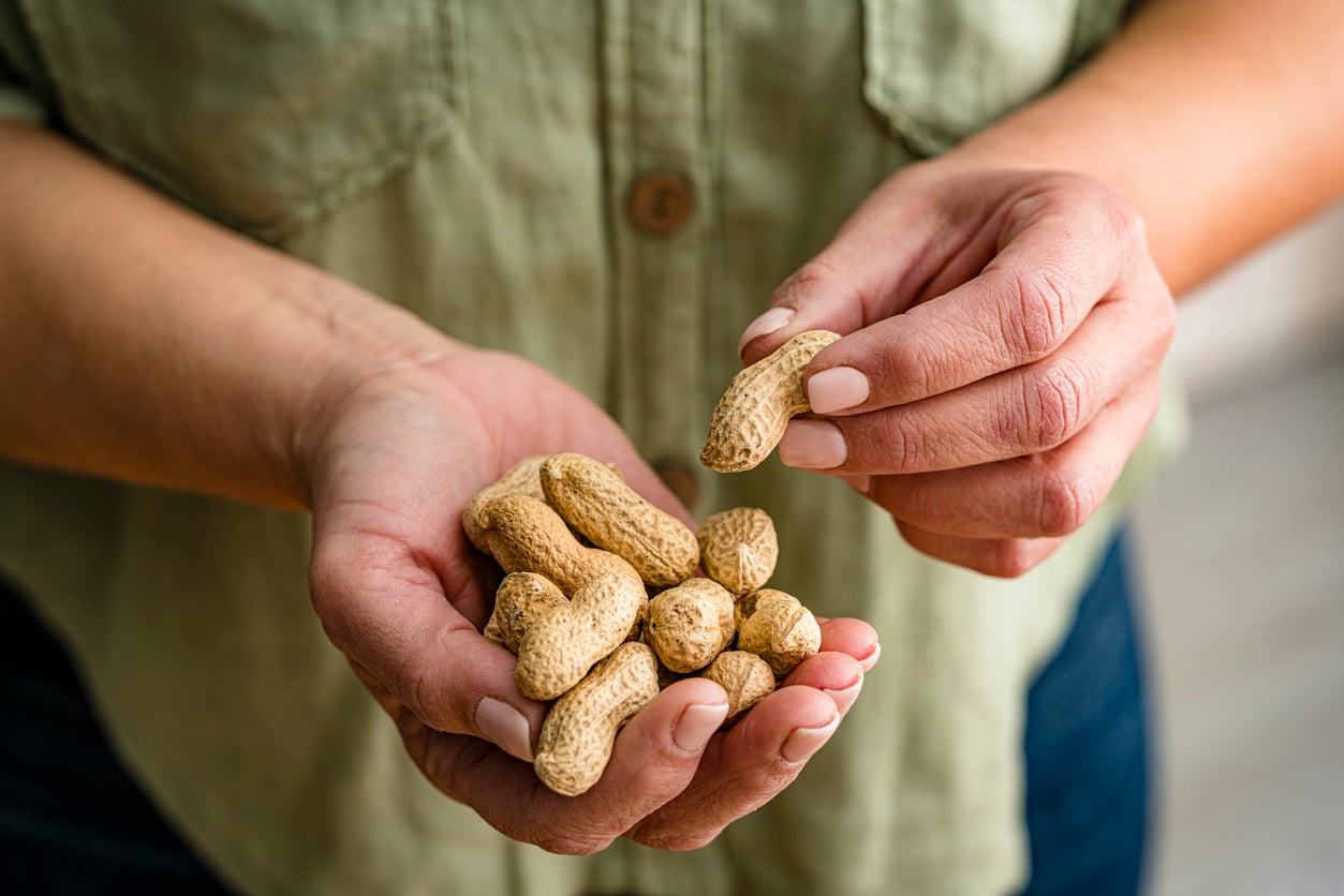 A person wearing a green shirt holds several unshelled peanuts in one hand and is opening a peanut shell with the other hand.