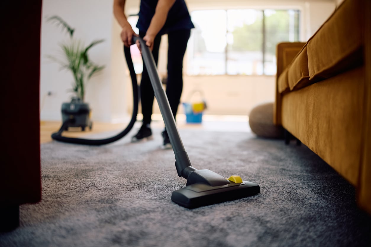 Person vacuuming a gray carpet in a living room with a brown sofa, houseplant, and large sunlit windows in the background.