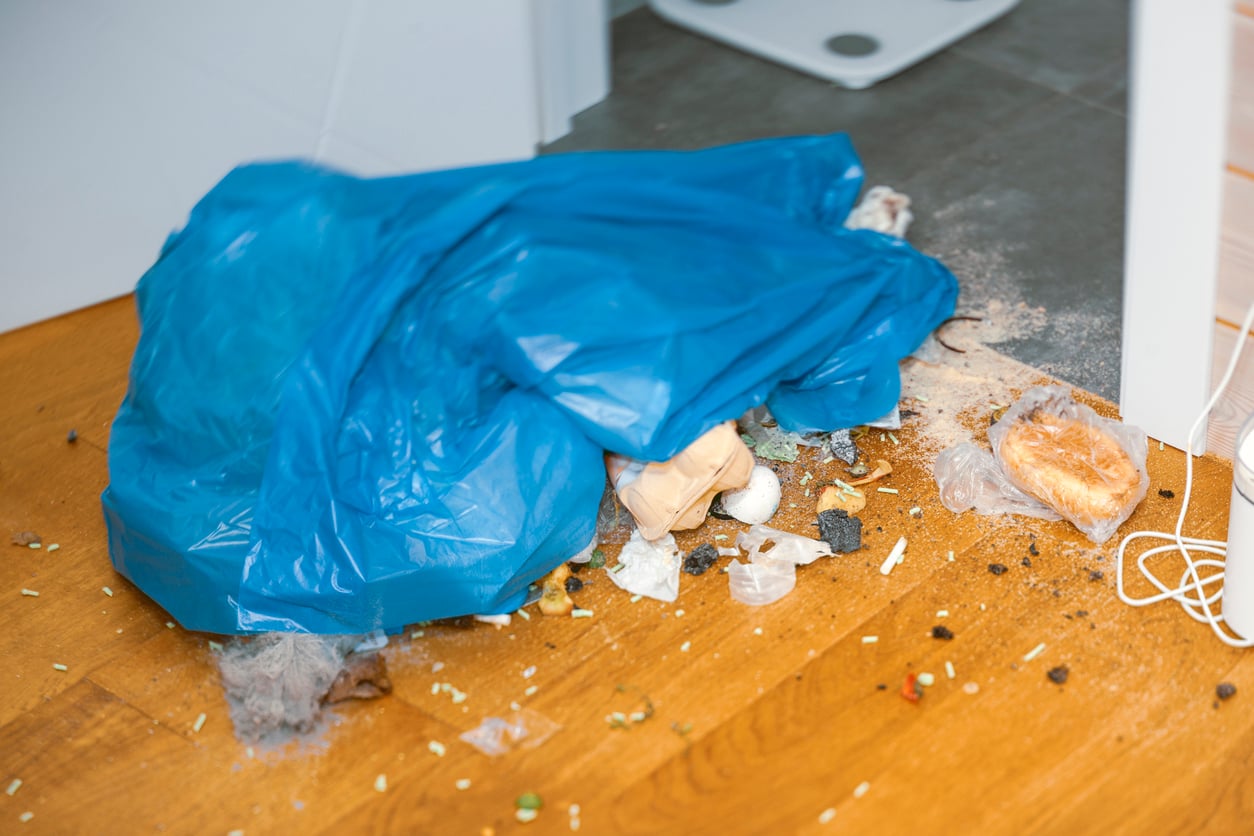 A torn blue trash bag spills garbage, food scraps, and debris onto a wooden floor near a doorway and a white bathroom scale.