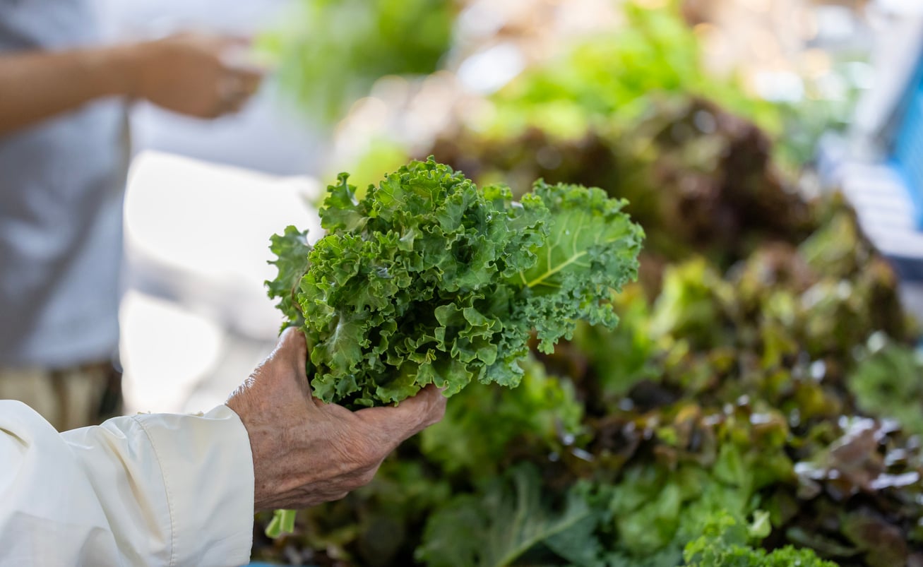 A person holds a bunch of fresh curly kale at an outdoor market, with other leafy greens visible in the background—a perfect example of one of those Foods People Learn to Appreciate Later in Life.