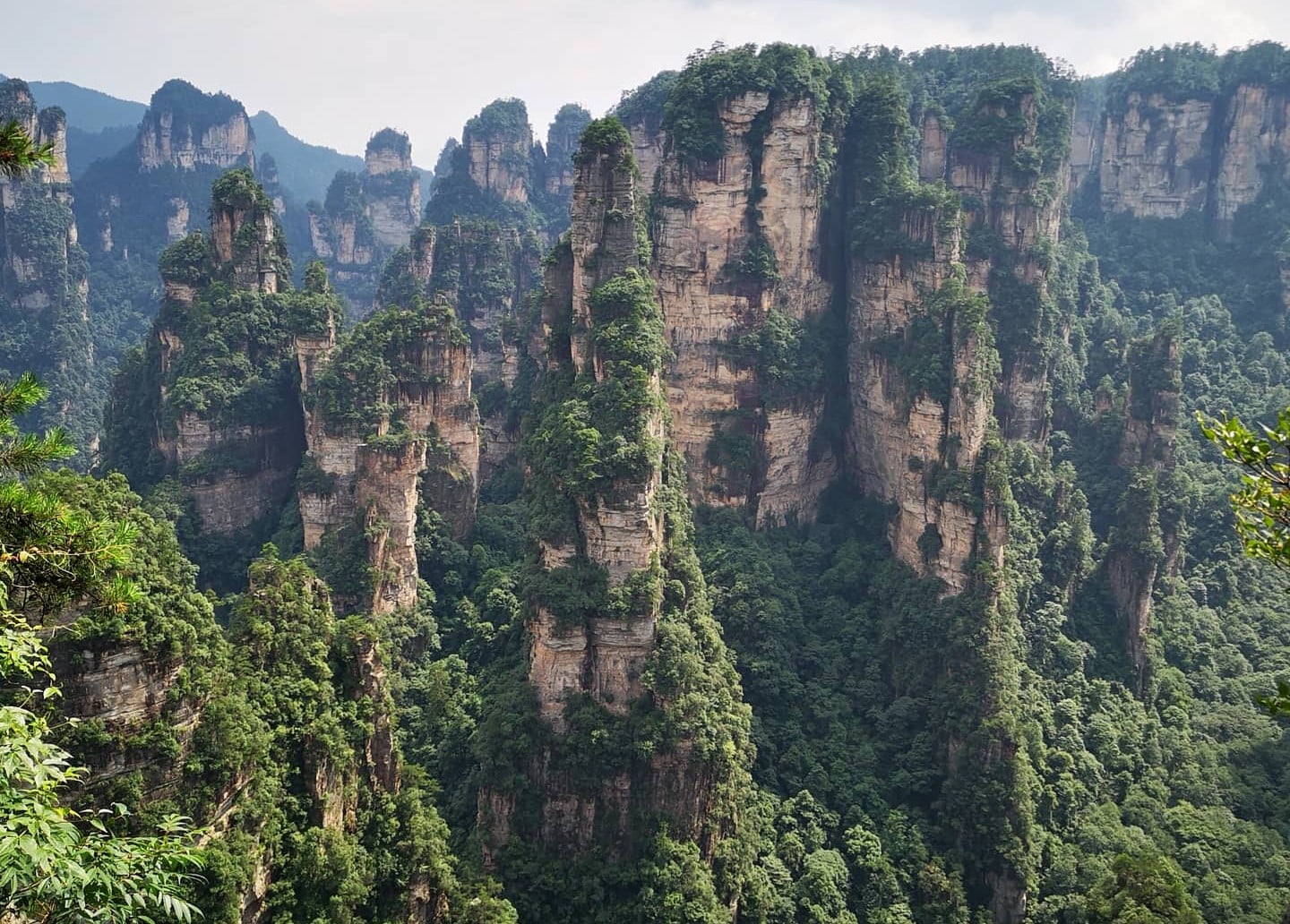 Tall, pillar-like sandstone mountains covered in lush green vegetation rise from a dense forest, with mist and distant peaks visible in the background.
