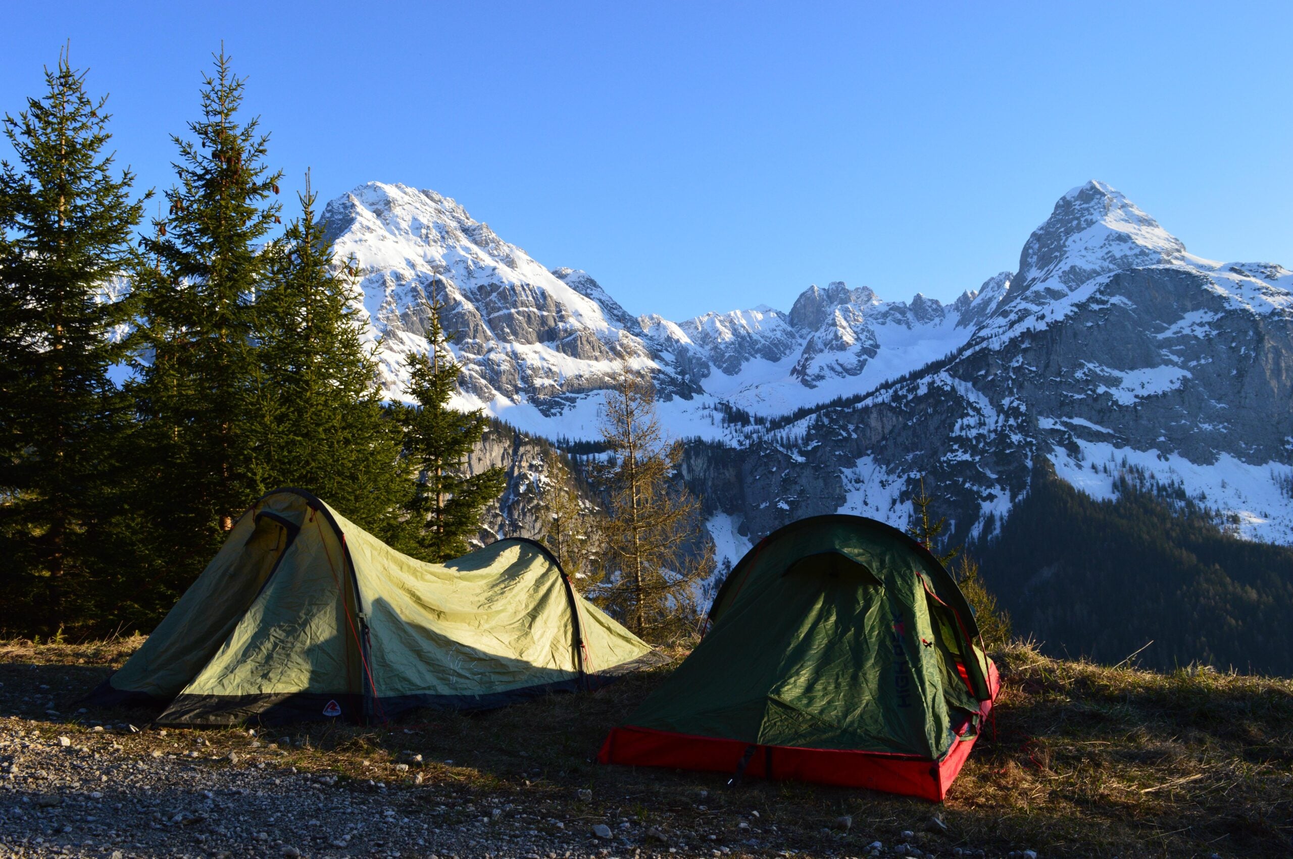 Two camping tents sit on a grassy area near evergreen trees, overlooking snow-capped mountains under a clear blue sky.