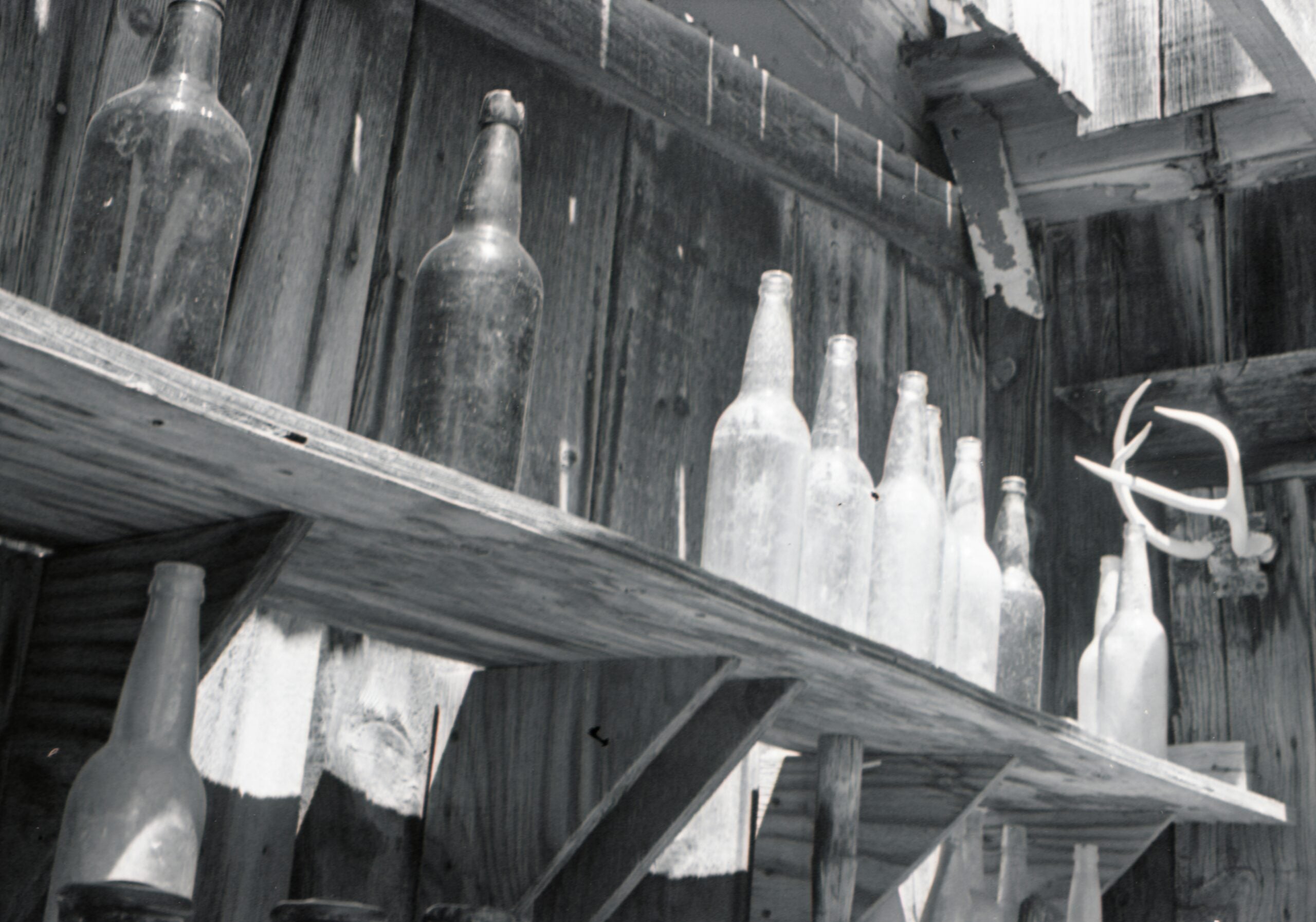 Old glass bottles are lined up on wooden shelves attached to a weathered wall. Sunlight casts contrasting shadows, and a small antler is also visible among the bottles.