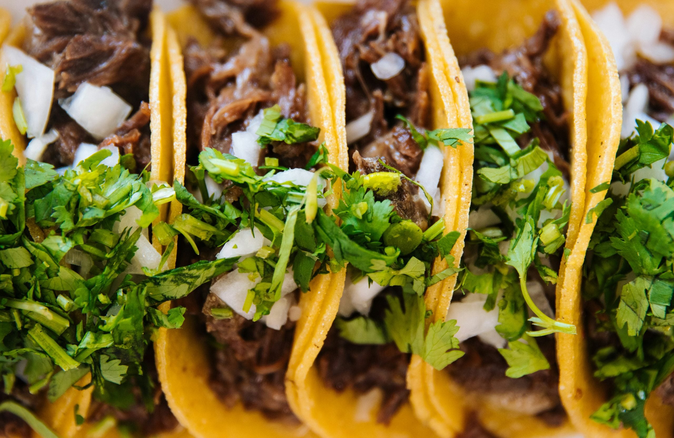 Close-up of four tacos filled with shredded beef, chopped onions, and fresh cilantro in yellow corn tortillas, arranged side by side—an irresistible display of classic Mexican foods.