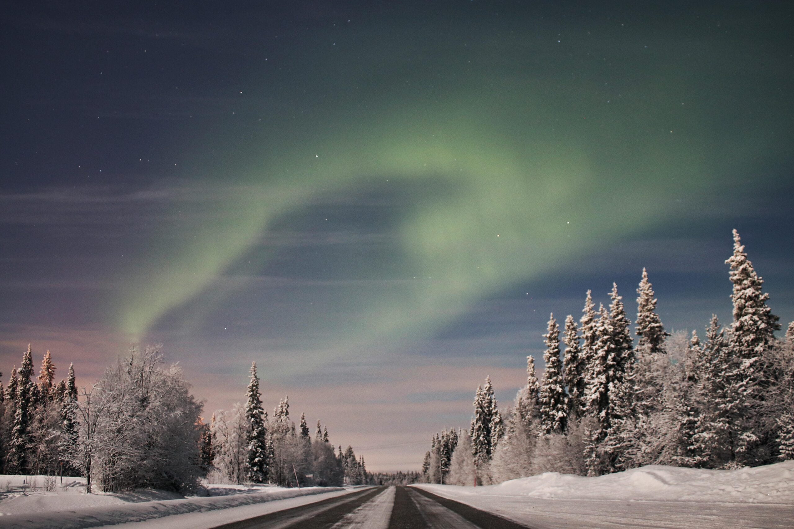 A snow-covered road lined with frosty trees under a night sky, featuring bright green northern lights glowing above.