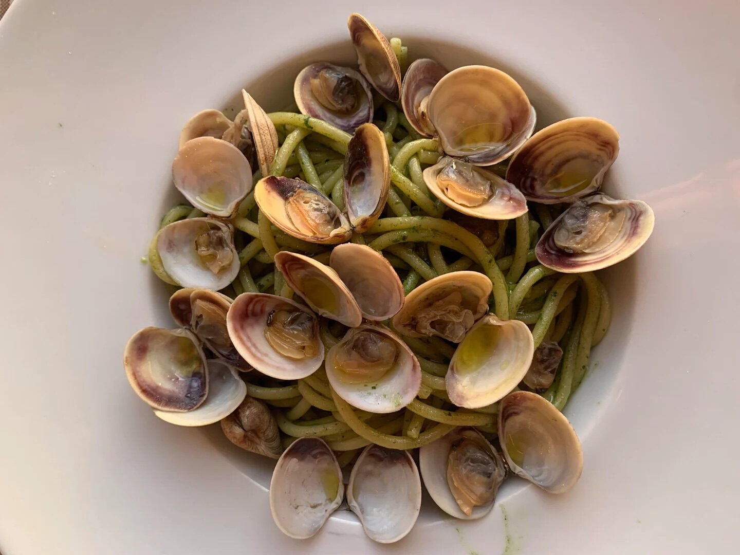 A white bowl filled with spaghetti topped with clams in their shells, coated in a light green sauce, likely pesto—a perfect example for anyone seeking mouthwatering photos of pasta.