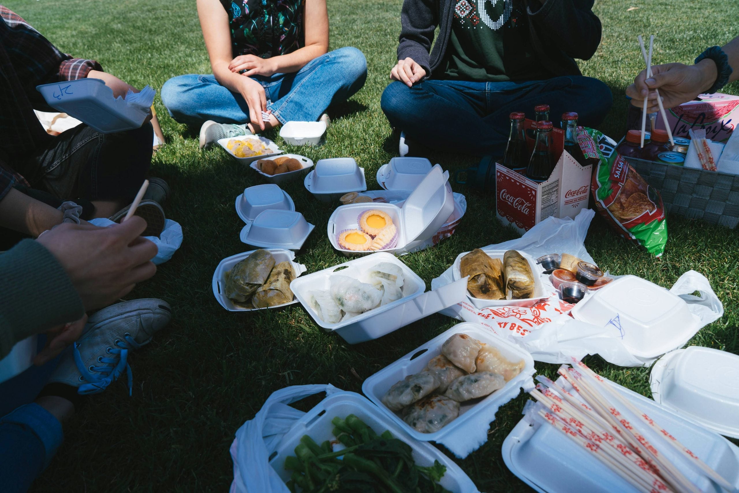 People sitting on grass enjoying a picnic with various takeout food containers, including dumplings, vegetables, drinks, and chopsticks, spread out on the ground. Only their hands and legs are visible.
