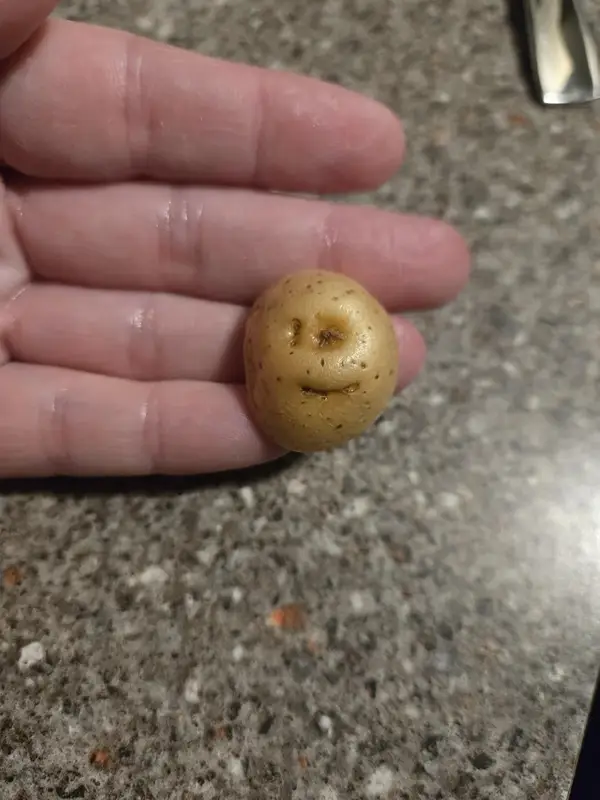 A small potato with natural markings resembling a smiling face is held in a person’s hand over a speckled countertop.