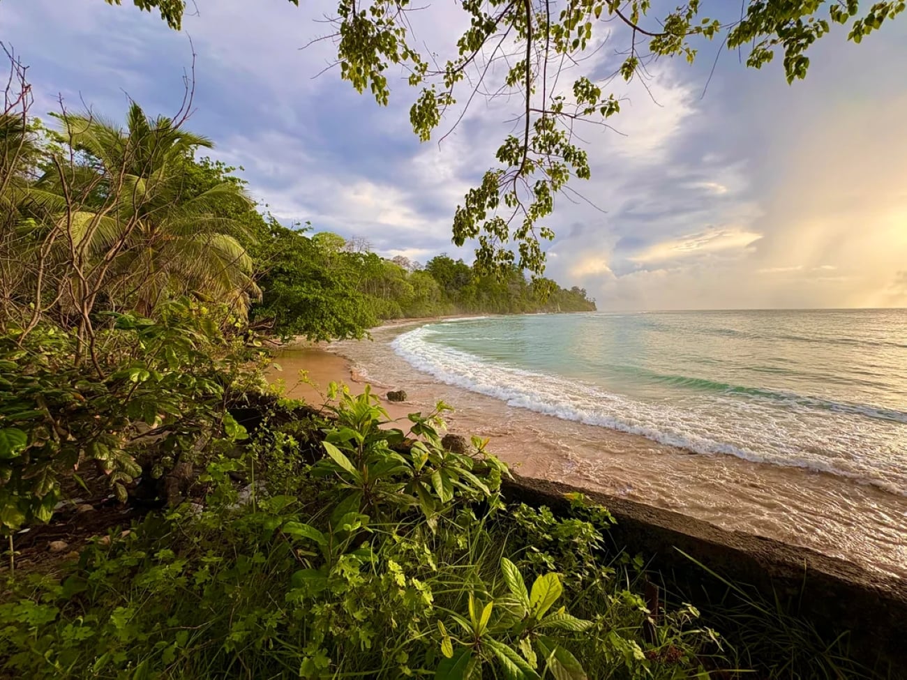 A tropical beach in one of the world’s breathtaking Tropical Locations, with lush green foliage in the foreground, gentle waves on the sandy shore, and cloudy skies overhead during sunset.