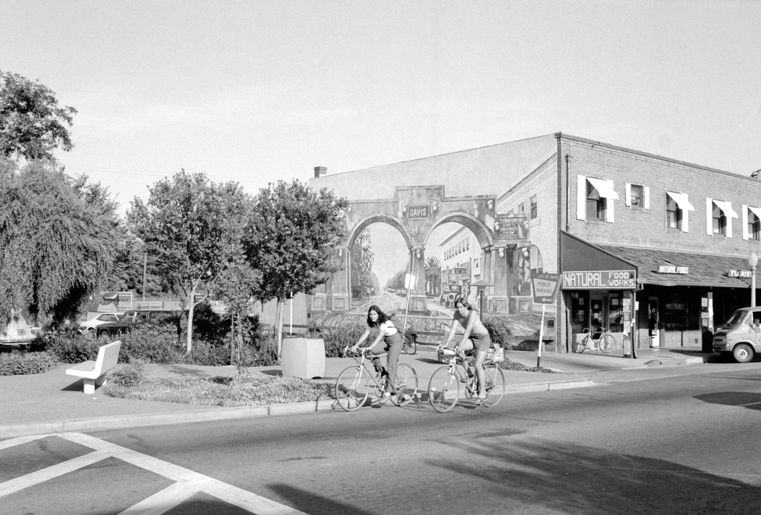 Two people ride bicycles on a city street near a mural-covered building and a natural food store. Trees and benches line the sidewalk on a sunny day. The photo is in black and white.