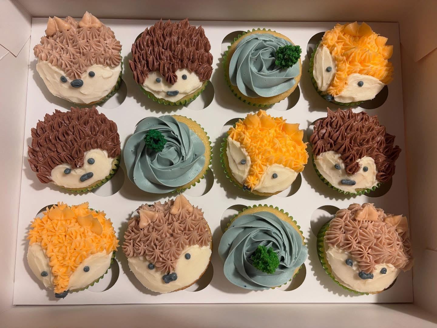 A box of twelve cupcakes, nine decorated as hedgehog faces in brown or yellow icing, and three decorated with swirled blue-green icing and a green garnish.