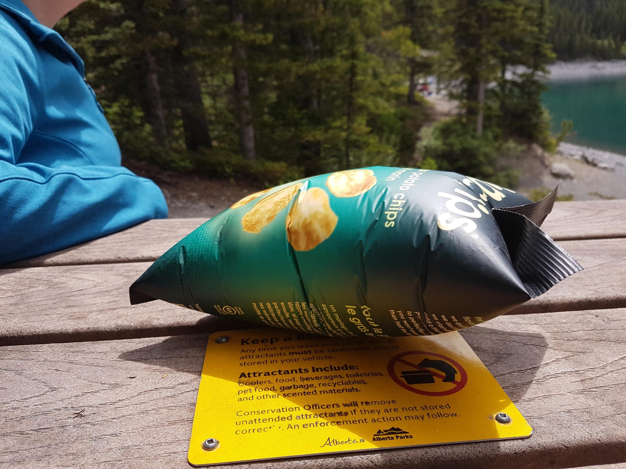 A puffed, unopened bag of potato chips sits on a wooden picnic table next to a person in a blue jacket, with trees and a lake in the background. The bag rests on a yellow informational park sign.