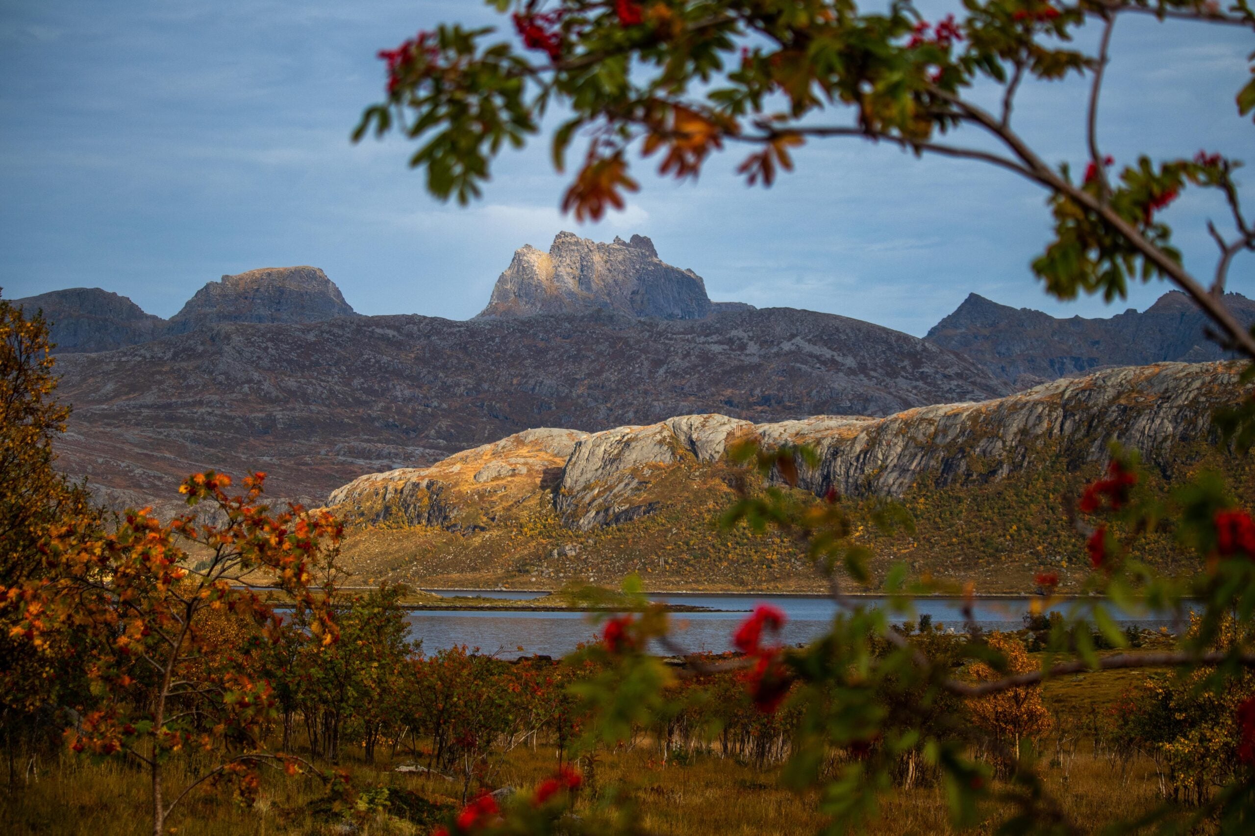 Rocky mountain peaks rise in the background, with sunlight hitting the slopes. A tree with red berries frames the scene, and a calm river flows through the middle ground under a clear sky.