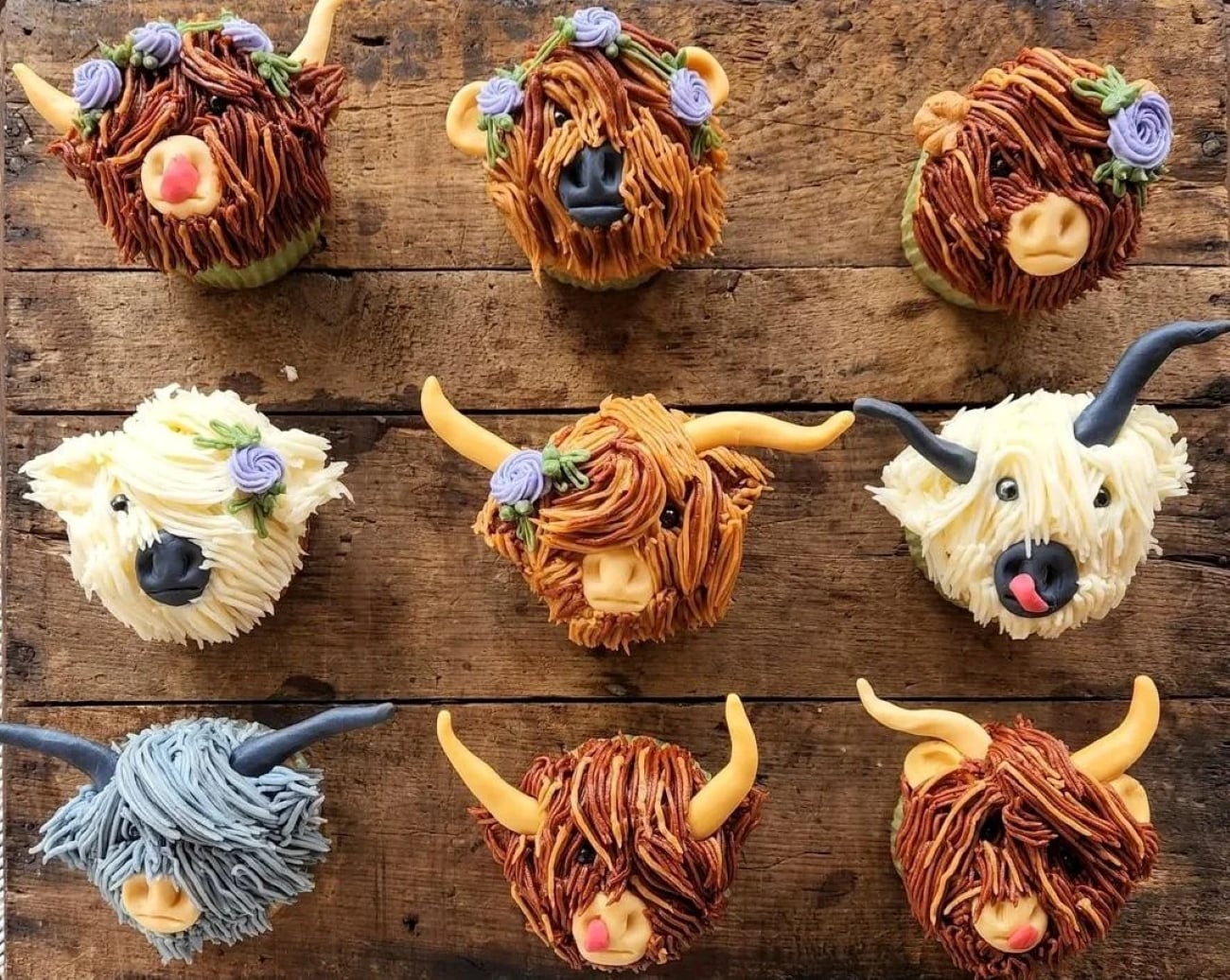Nine cupcakes decorated as highland cows with colorful icing for fur and horns, arranged in three rows on a rustic wooden surface. These decadent desserts feature playful details—some with floral decorations, and one cheeky cow with its tongue sticking out.