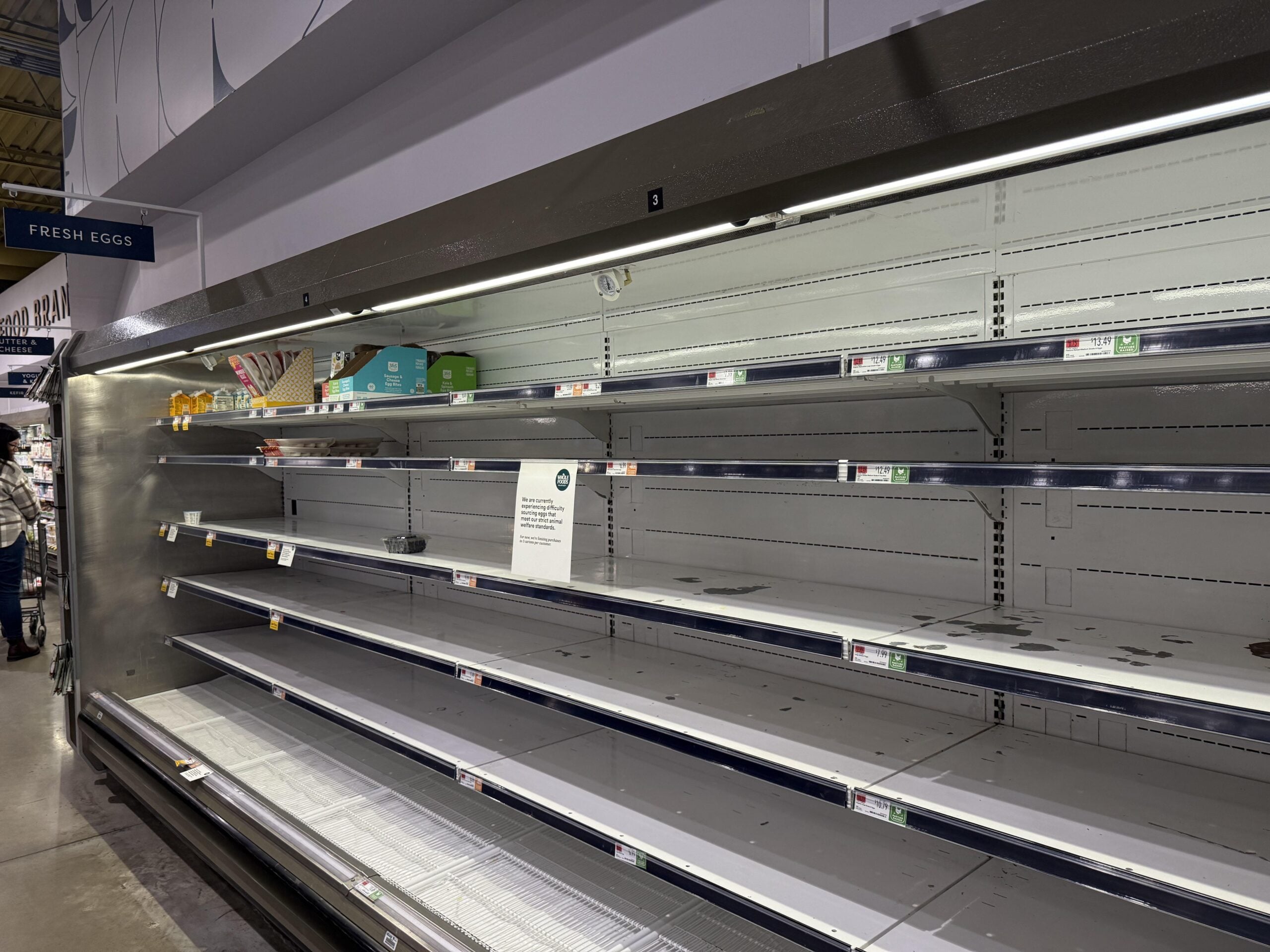 Nearly empty grocery store shelves in the egg section, with only a few cartons left. A sign is posted among the sparse products. The shelves are mostly bare, indicating a shortage of eggs.