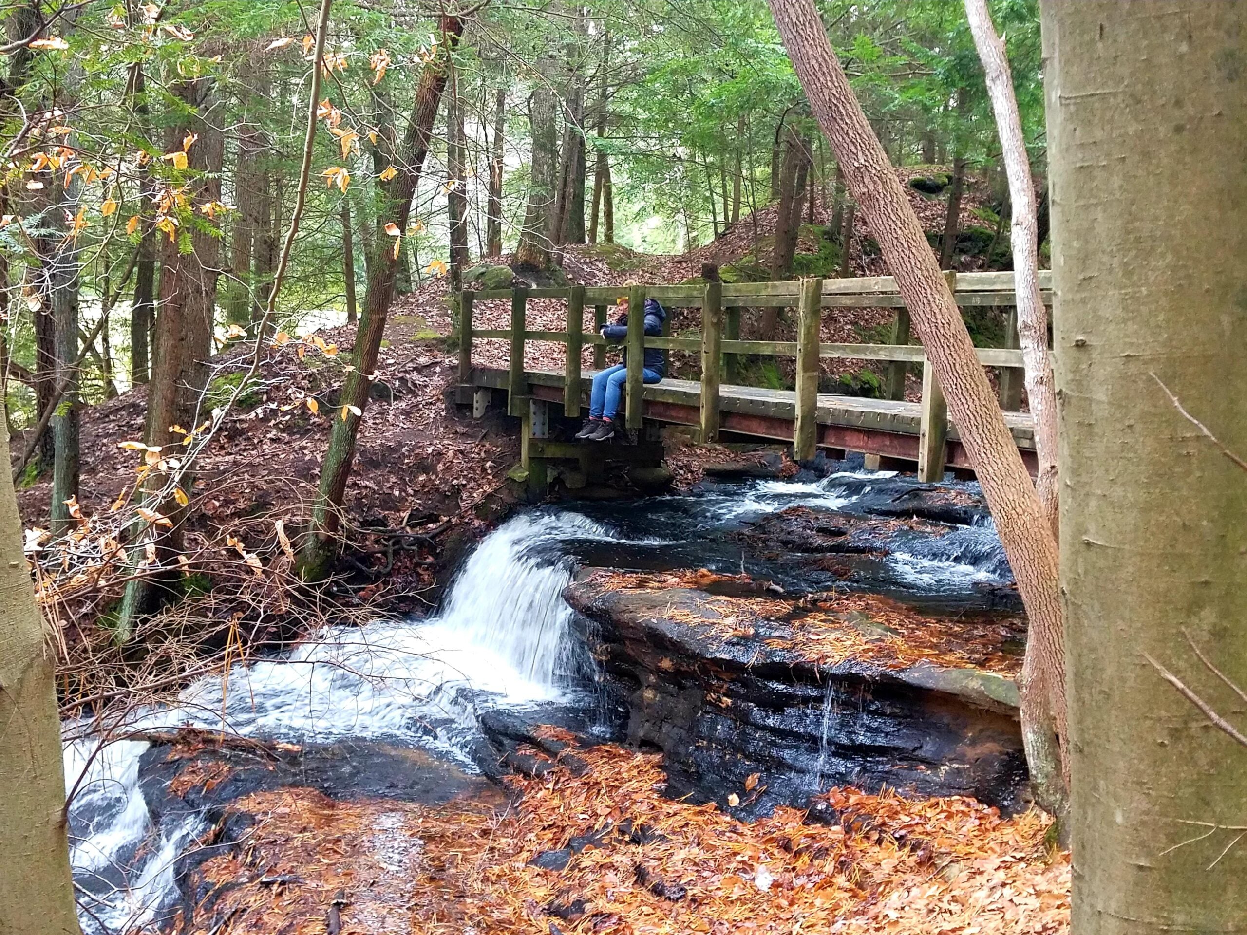 A person sits on the edge of a wooden bridge above a small waterfall in a forest with autumn leaves on the ground and flowing water beneath, capturing the serene moment often posted by hikers in their photos.