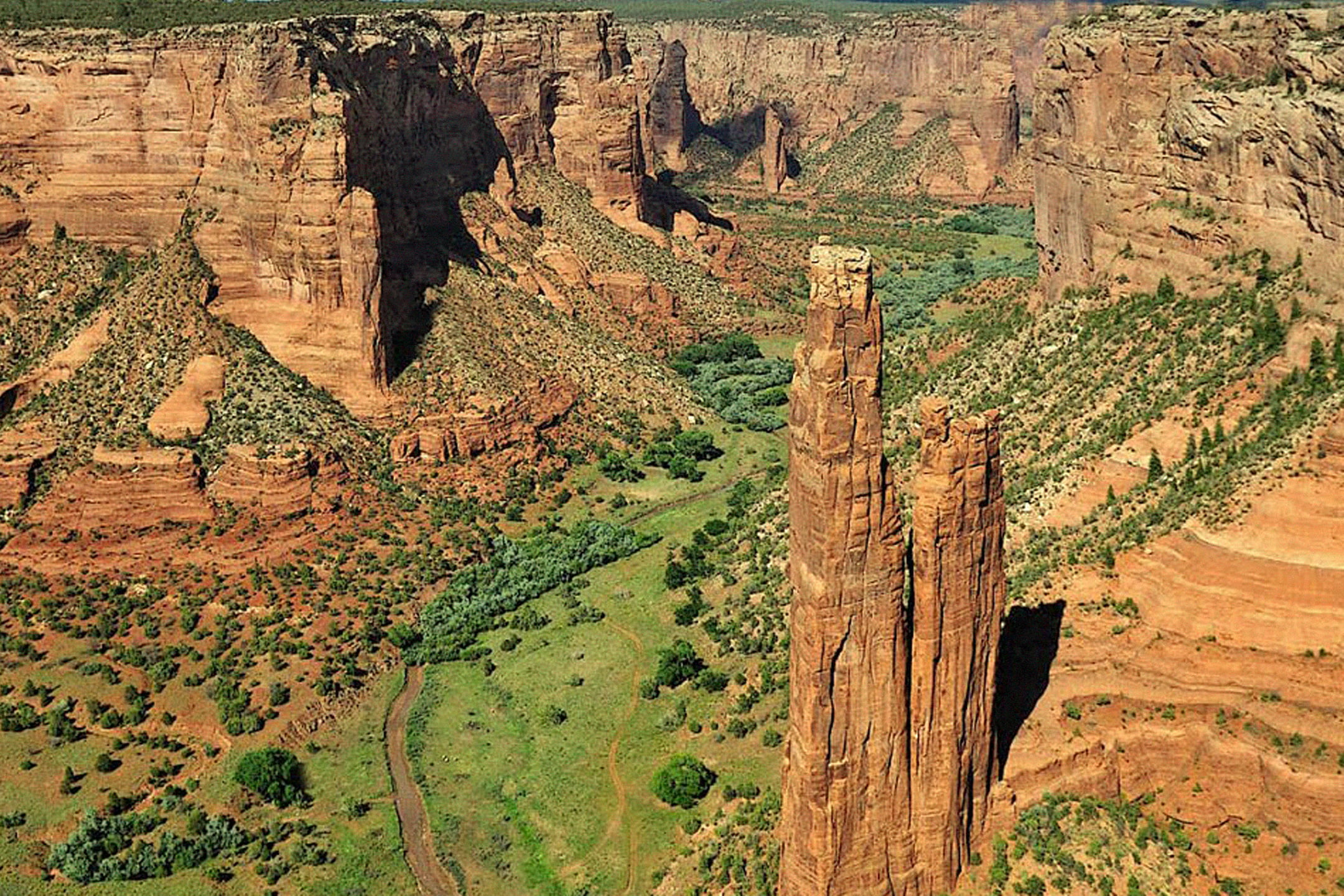 Spider Rock spire standing in the center of a deep desert canyon with steep red sandstone walls and a green valley floor.