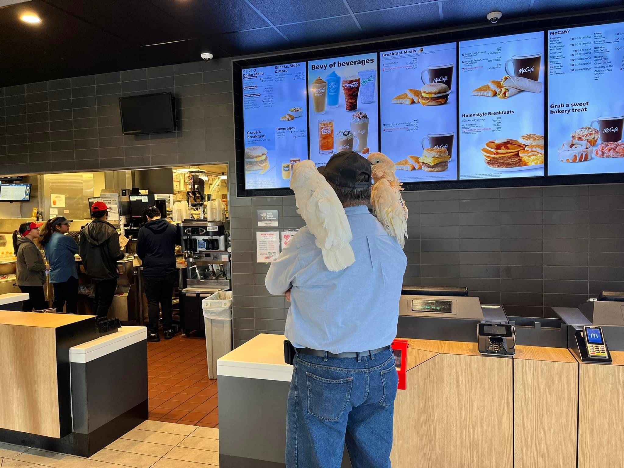 A man with two large white parrots on his shoulders stands at a fast food counter, facing digital menu boards, while other customers and staff are visible in the background.