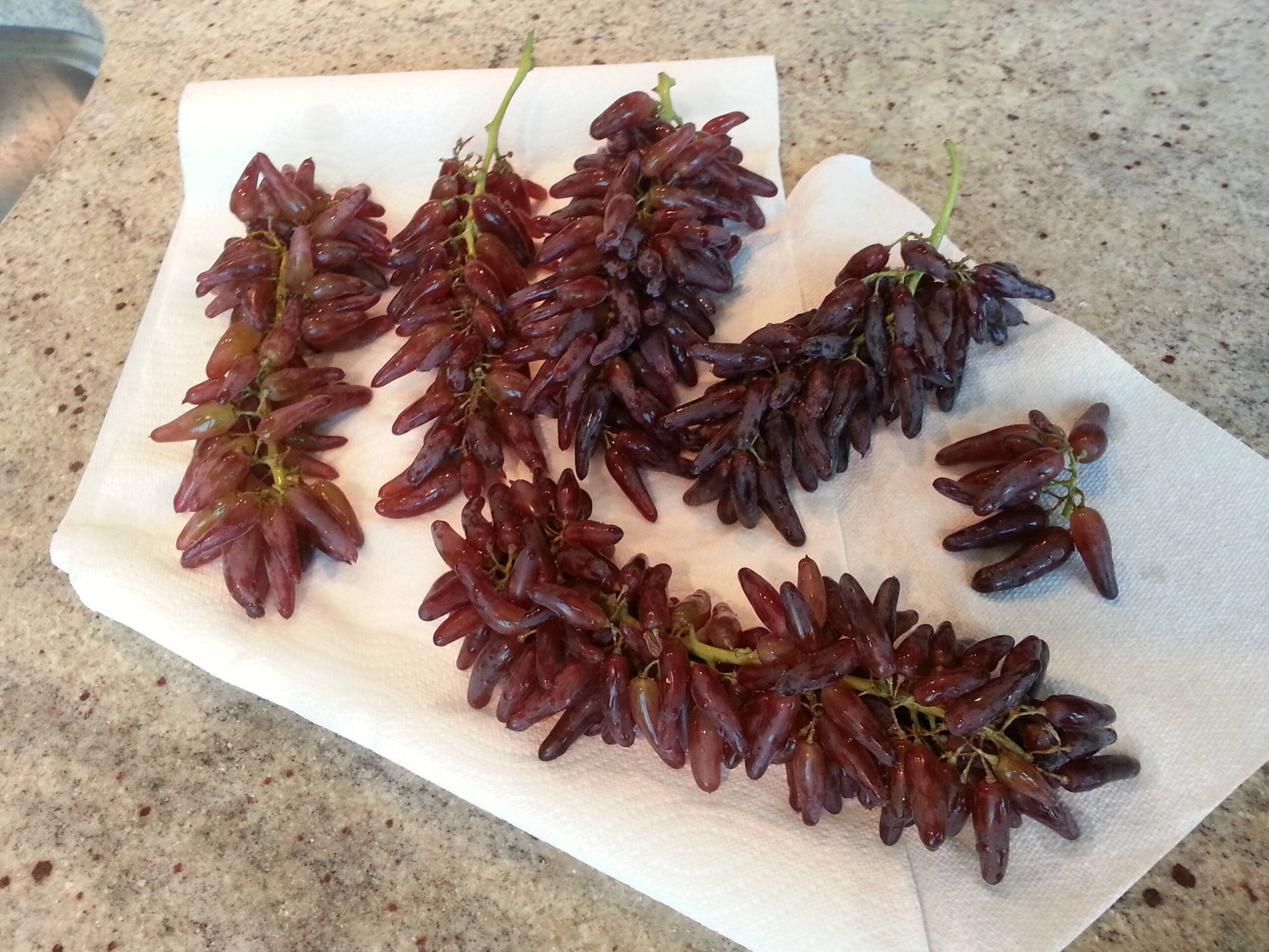 Clusters of elongated, deep red grapes resting on a white paper towel.
