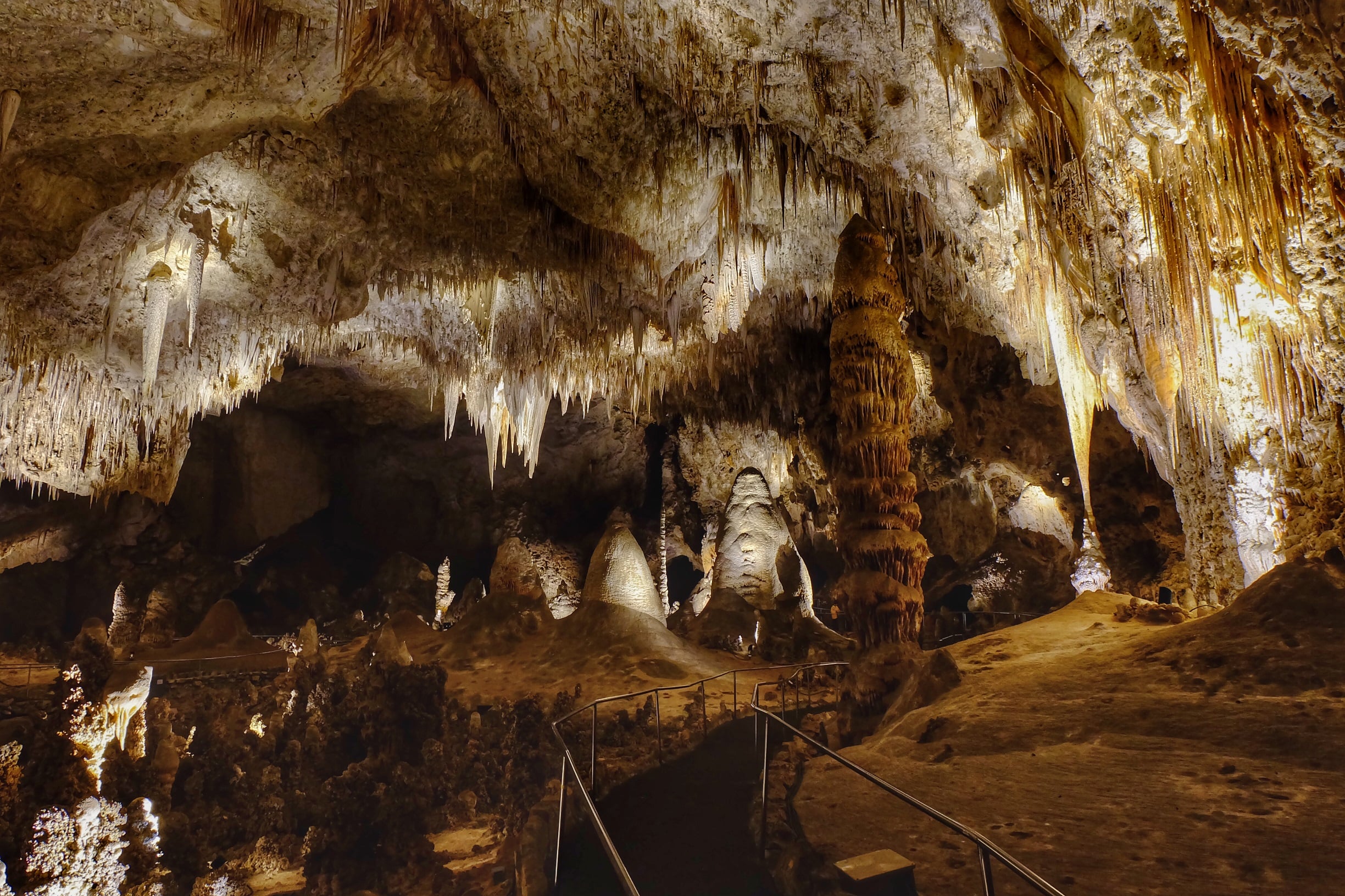 guided tour Large cavern filled with numerous stalactites hanging from the ceiling and stalagmites rising from the floor, with a paved walking path and metal railing in the foreground.