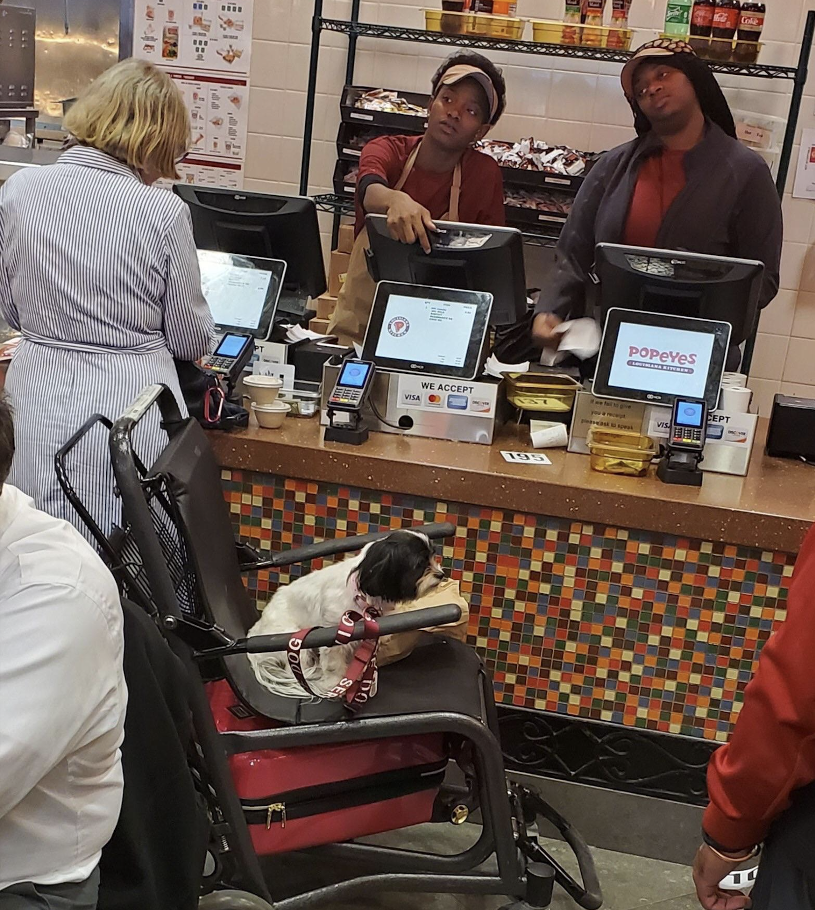 A small dog sits on a chair at the counter of a Popeyes restaurant, while two employees stand behind registers and a customer waits to order.