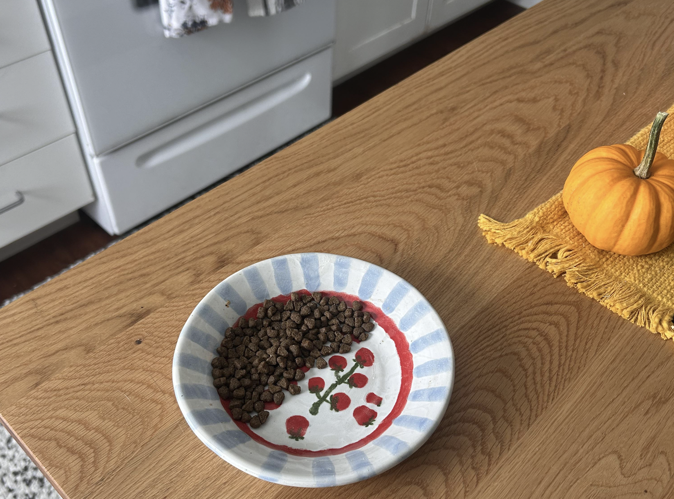 A decorative bowl filled with dry pet food sits on a wooden kitchen counter next to a small orange pumpkin on a yellow cloth.