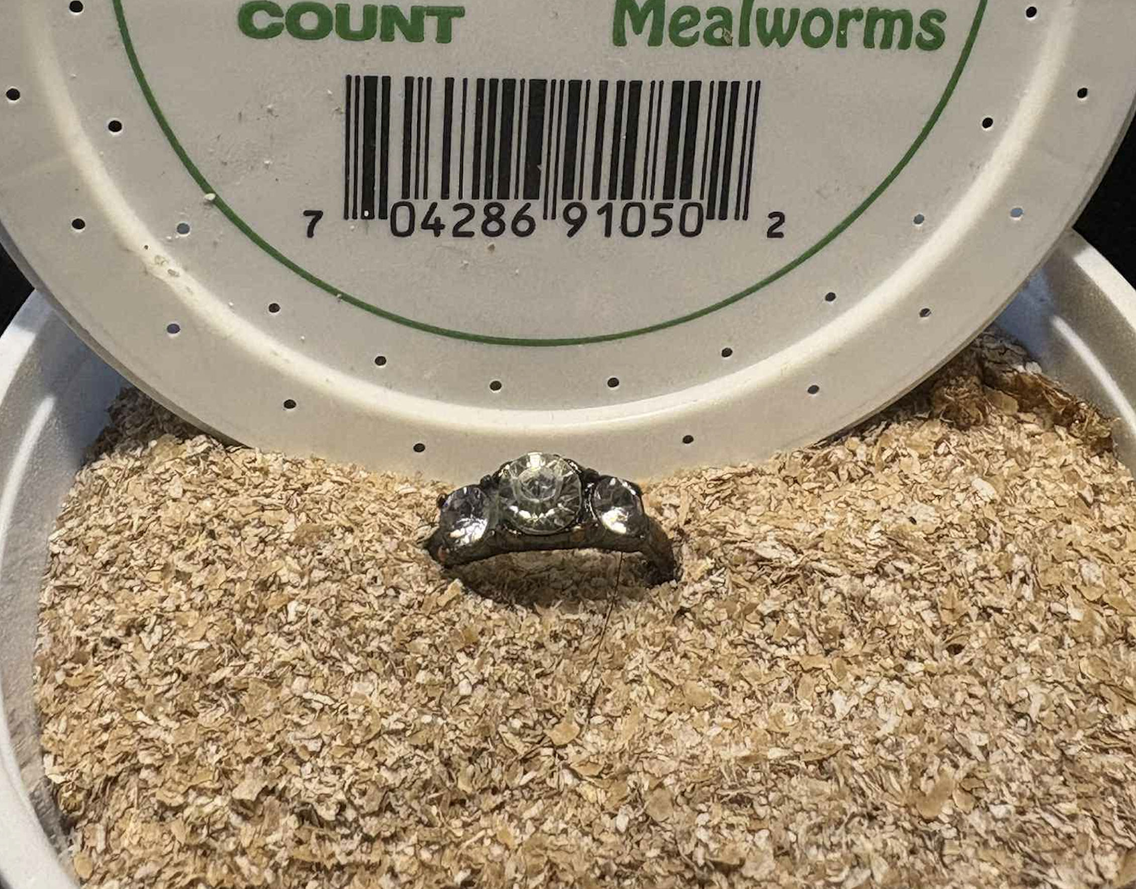 A three-stone costume ring resting in a plastic container filled with wheat bran, positioned in front of a mealworm product lid.