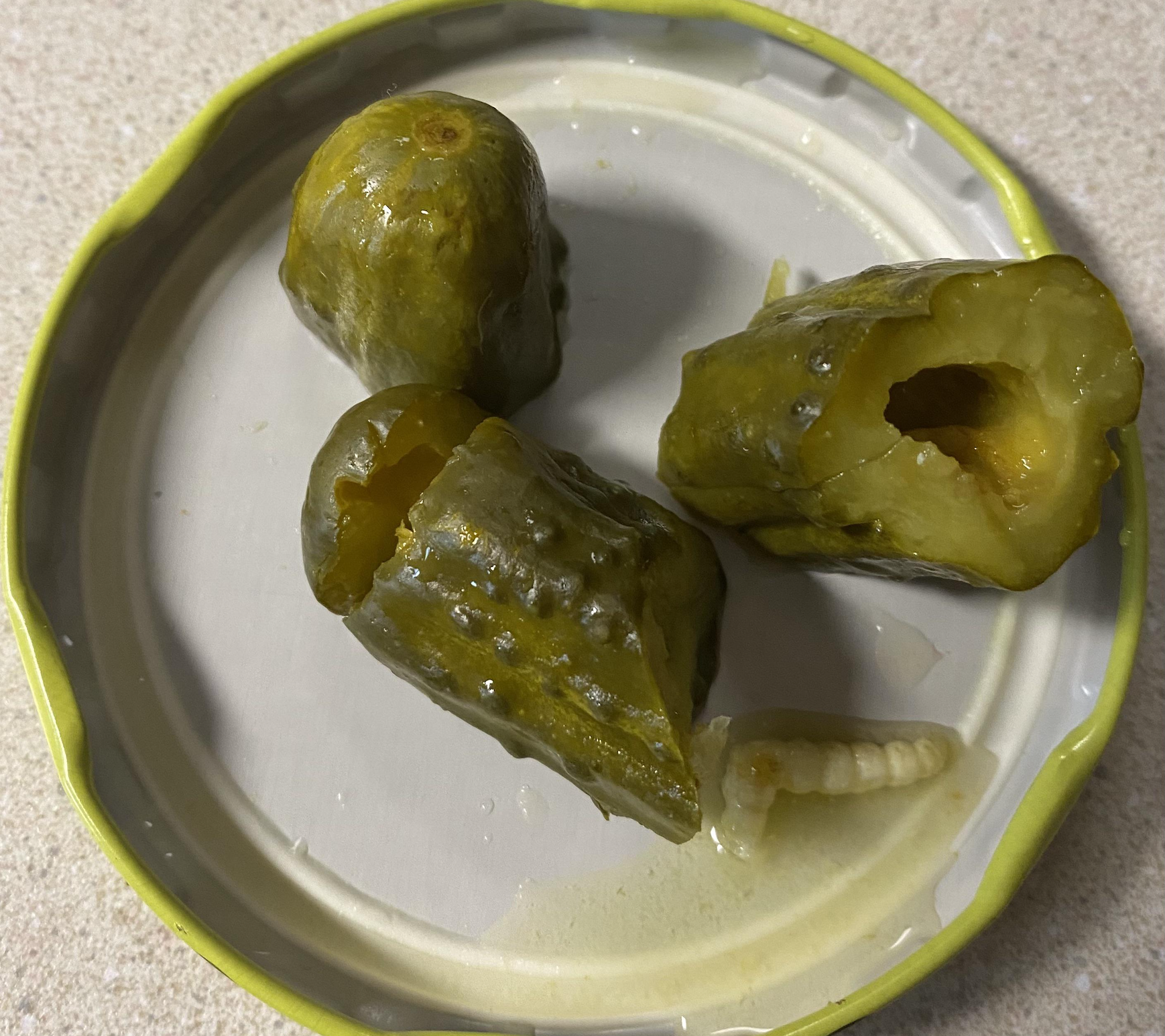 Three pickle chunks on a jar lid, one containing a small white larva.