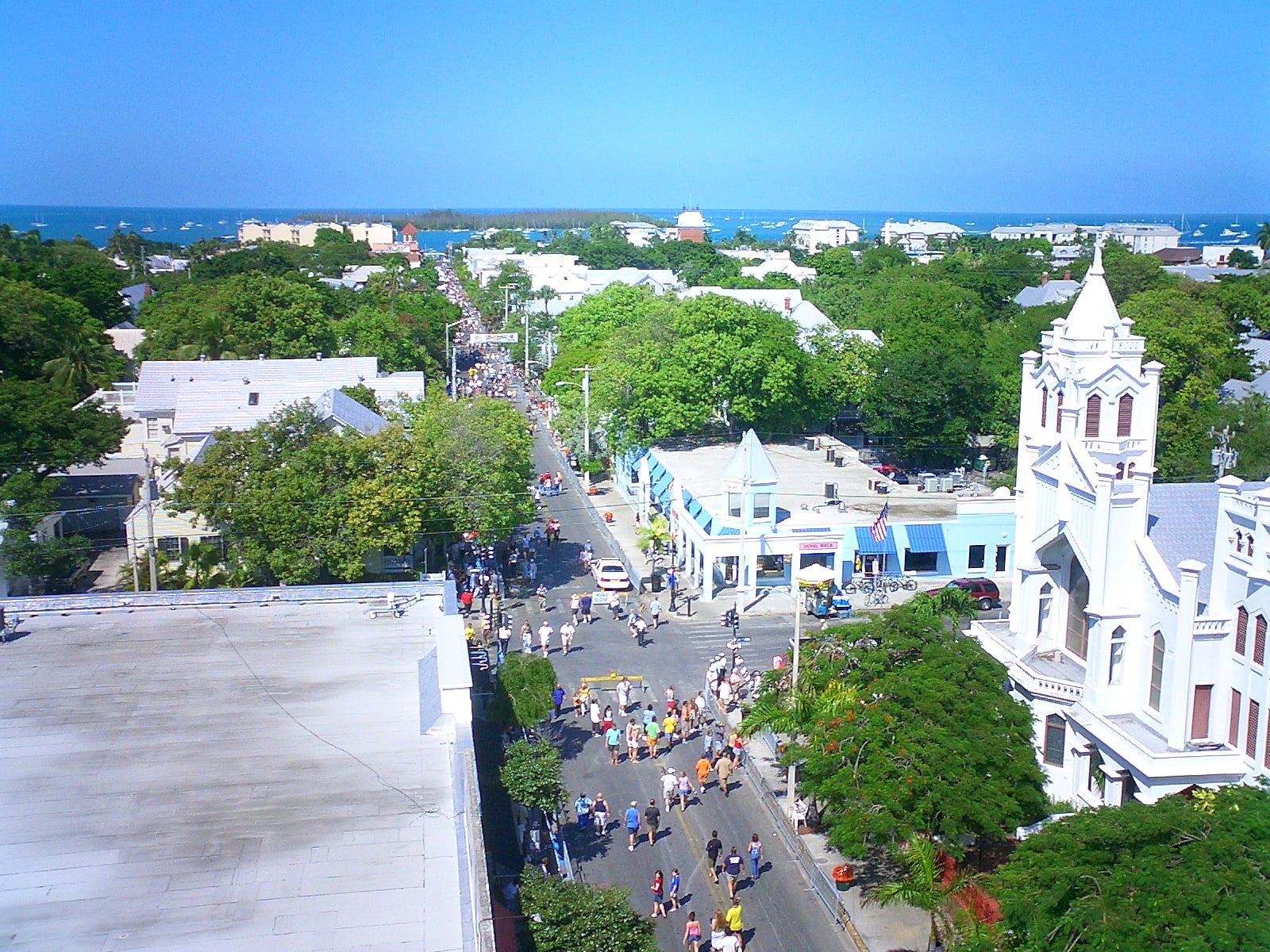 Aerial view of a lively street festival—perfect for trips where one great neighborhood shines with crowds, green trees, historic buildings, and ocean views under a clear blue sky.