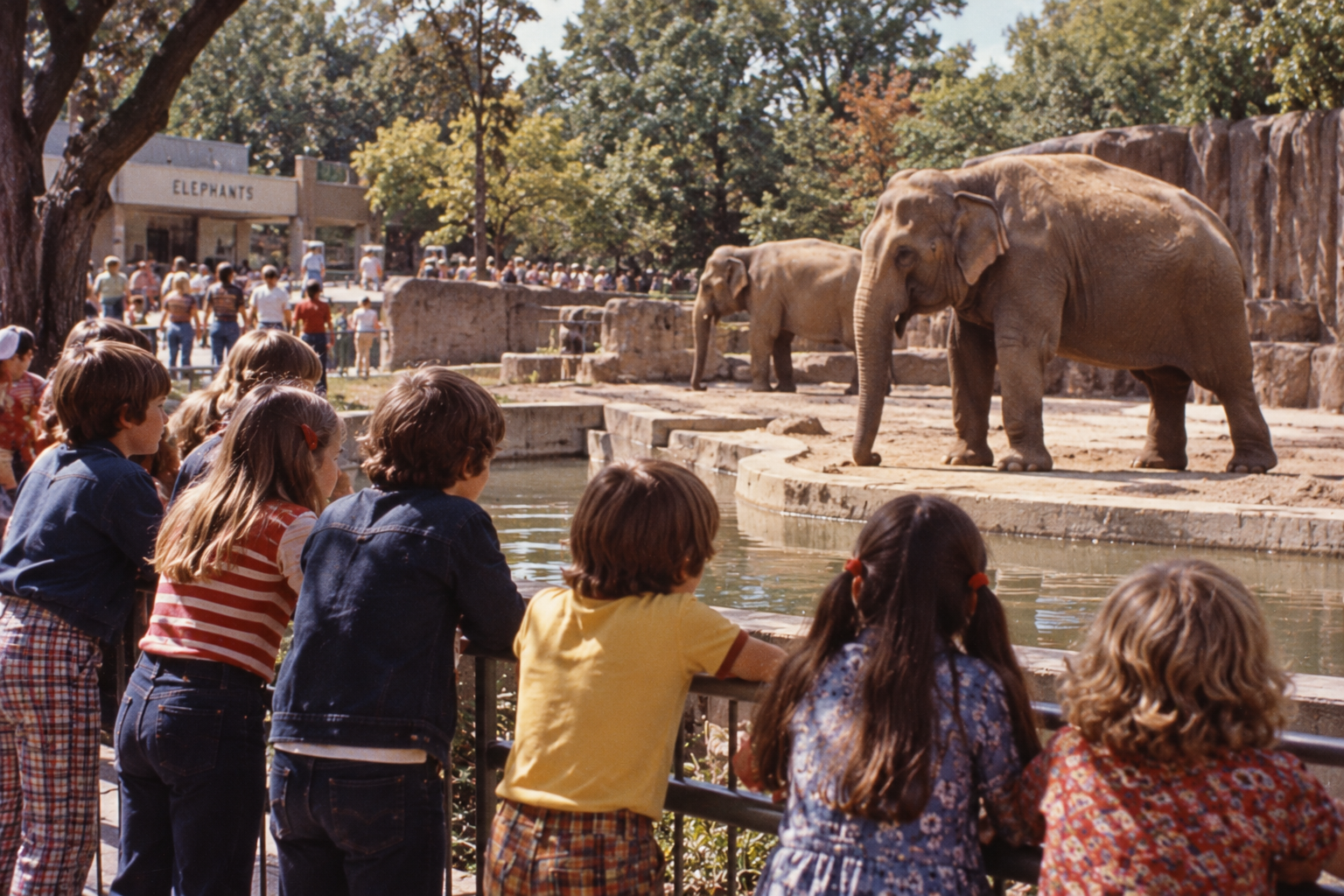 A group of children watch two elephants in an outdoor zoo enclosure.