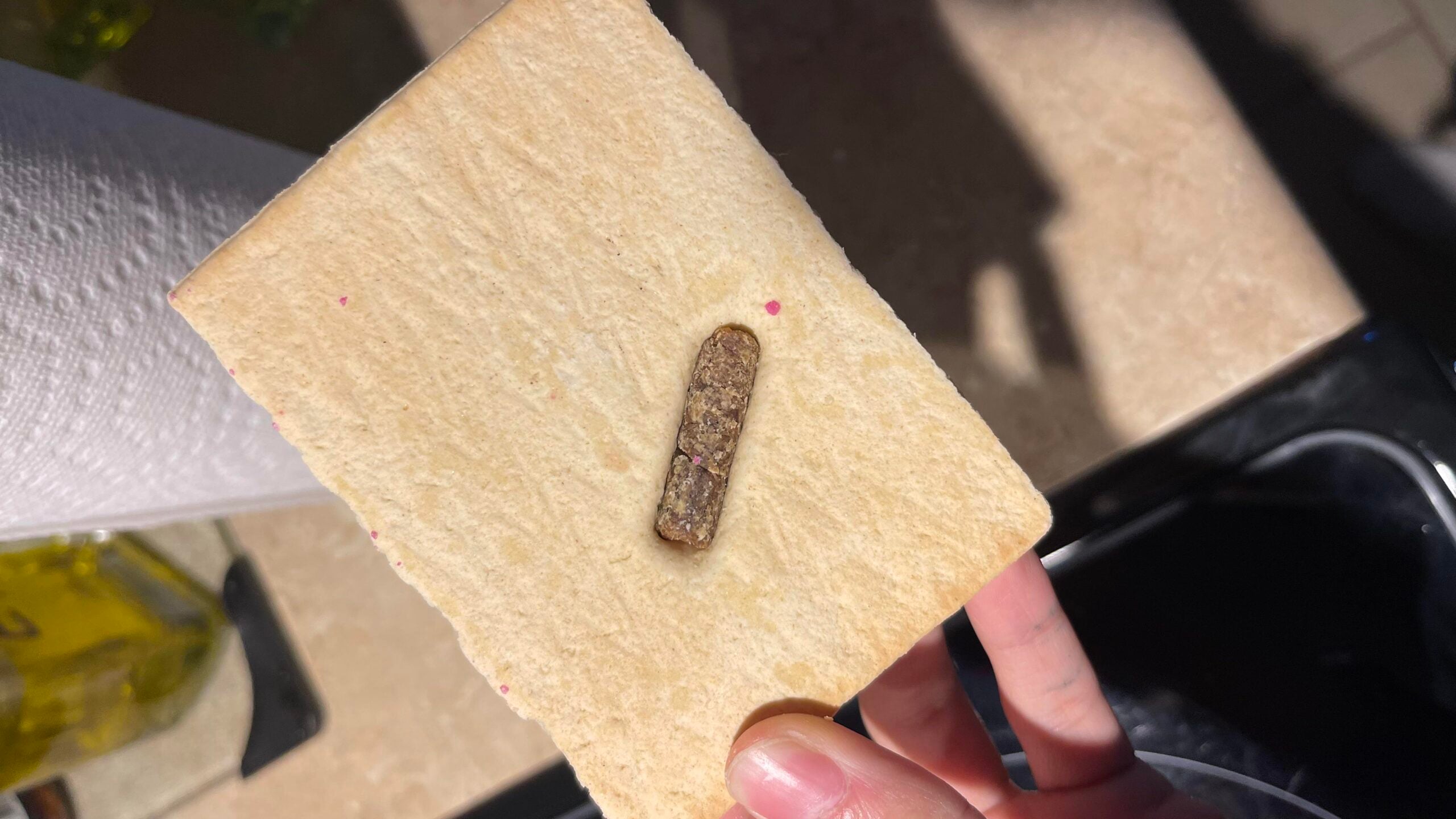 A hand holding a rectangular, light-brown cracker with a single, dark-brown cylindrical pellet embedded in the center.