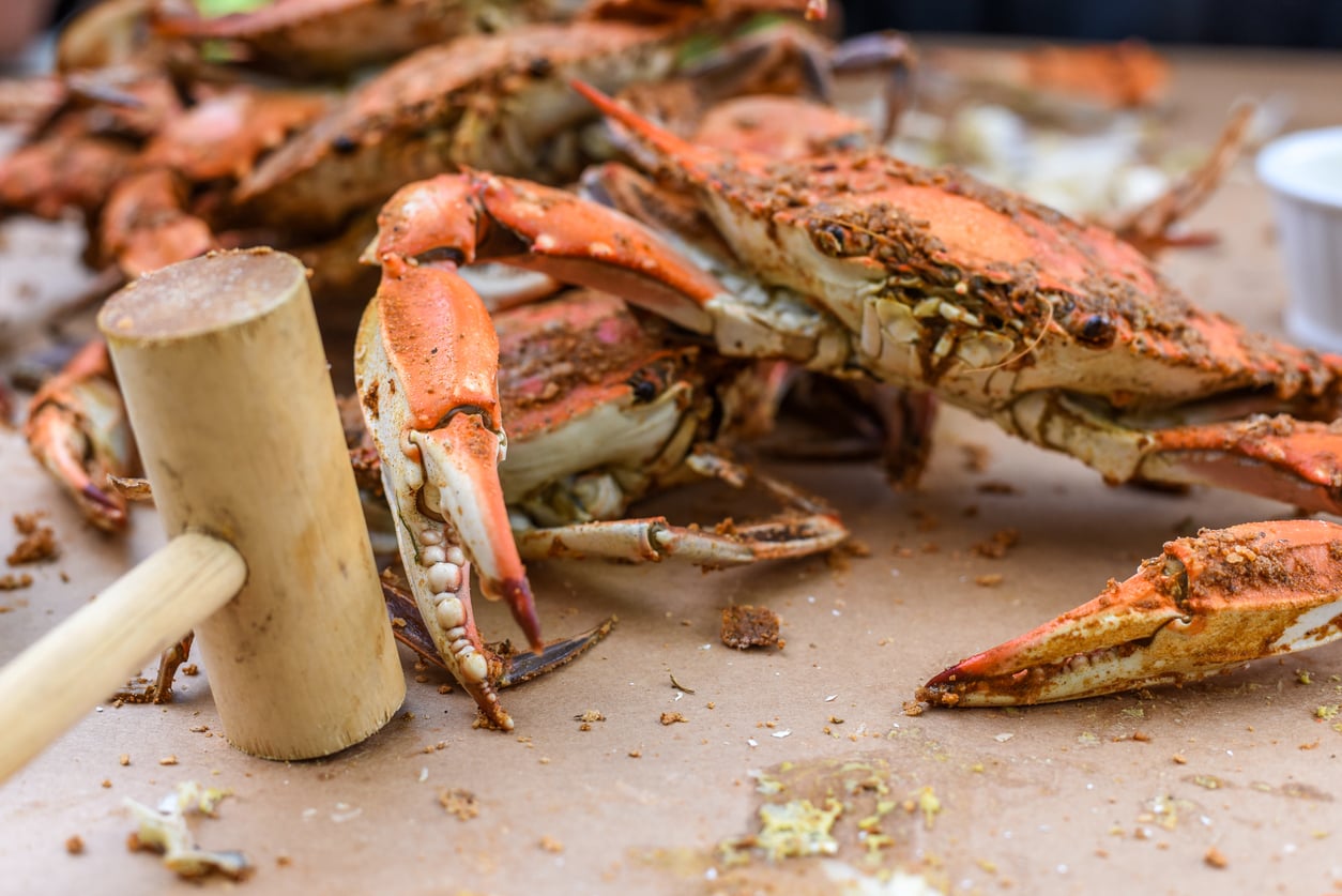 A wooden mallet resting on a brown paper-covered table next to several steamed blue crabs seasoned with Old Bay.