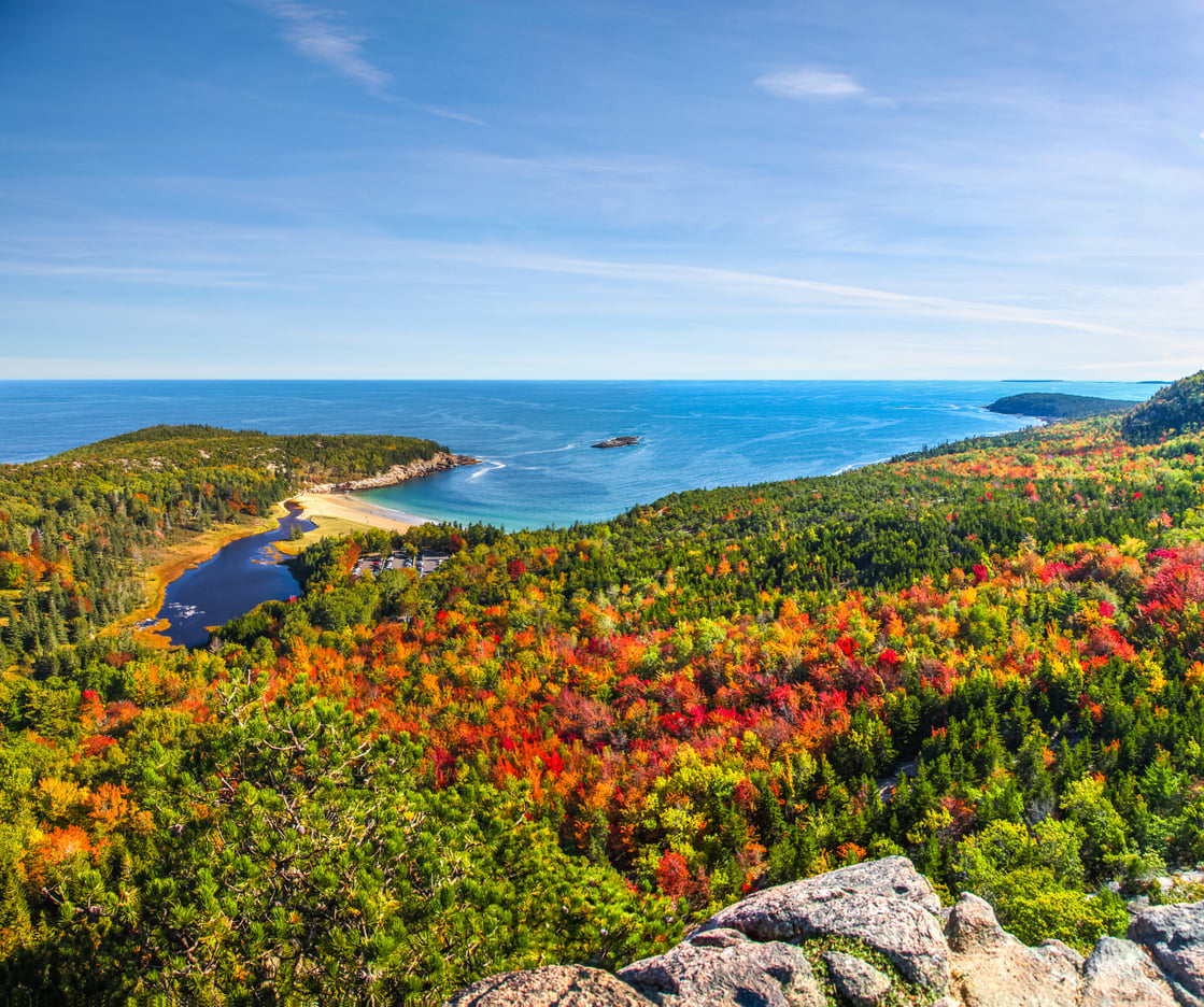 A high-angle view of a coastline featuring a forest in peak autumn foliage leading to a sandy beach and the blue ocean.