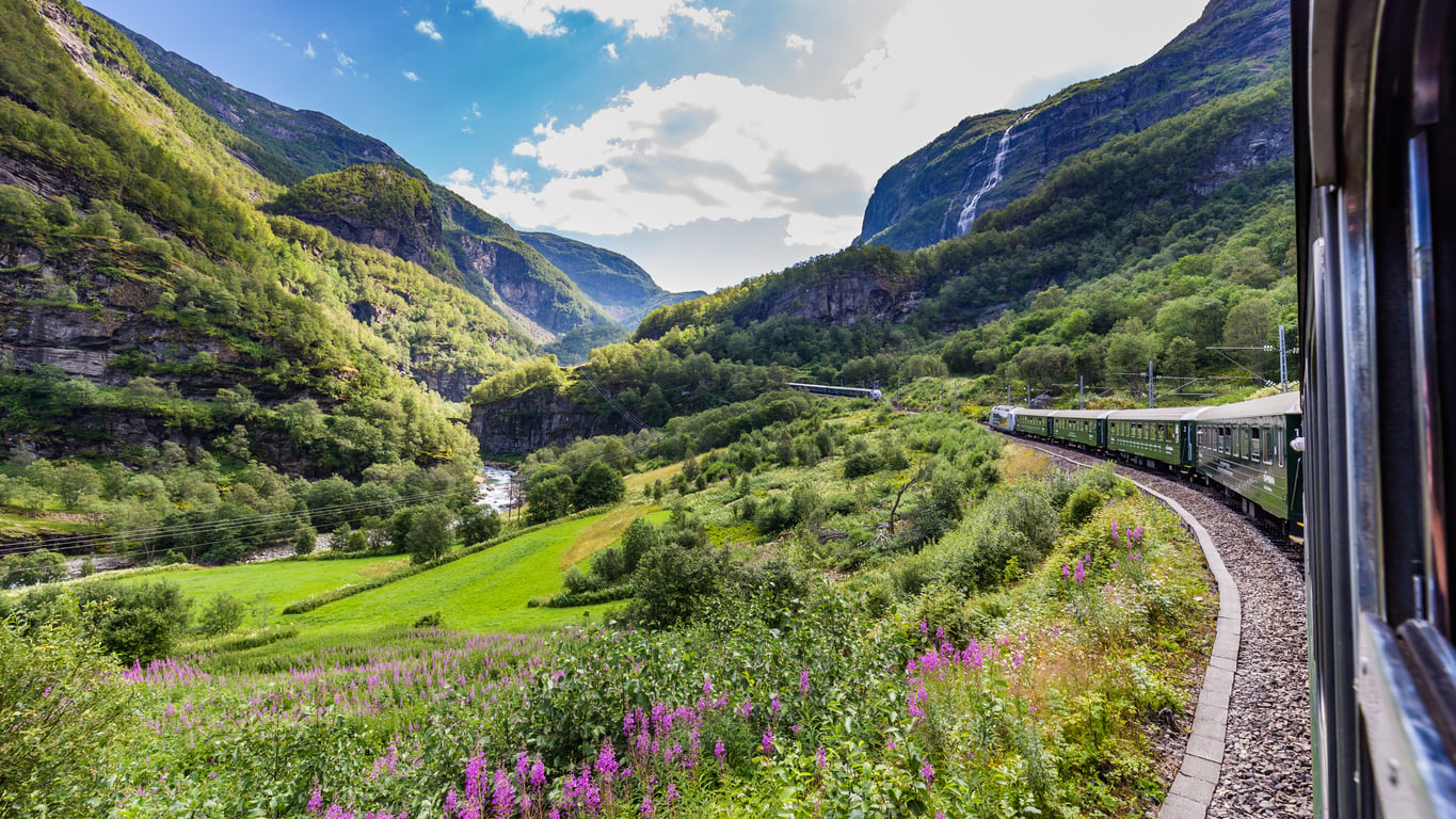 A scenic train moves through a lush green valley with wildflowers, mountains, and a blue sky with clouds in the background, viewed from a train window.