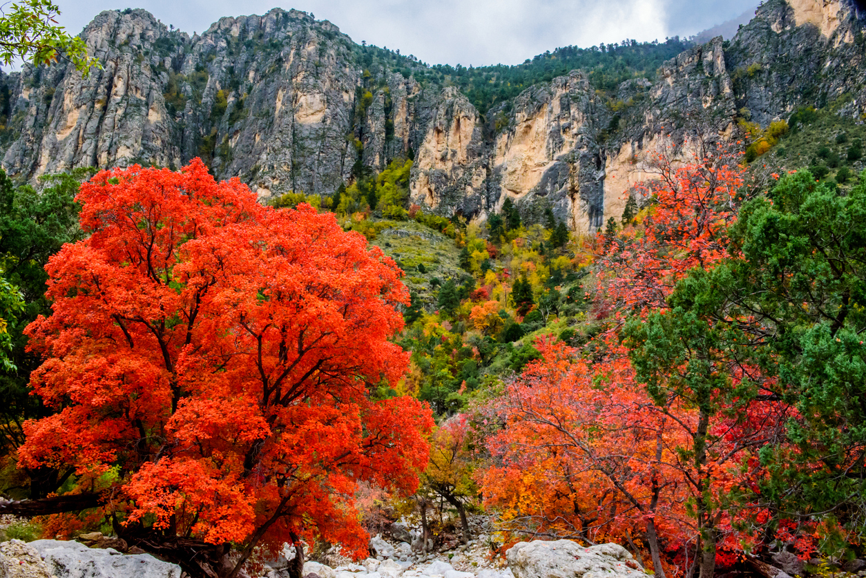 Towering rocky cliffs overlook a vibrant autumn landscape of red and green trees, making this a scenic choice for those seeking places to hike in the fall.