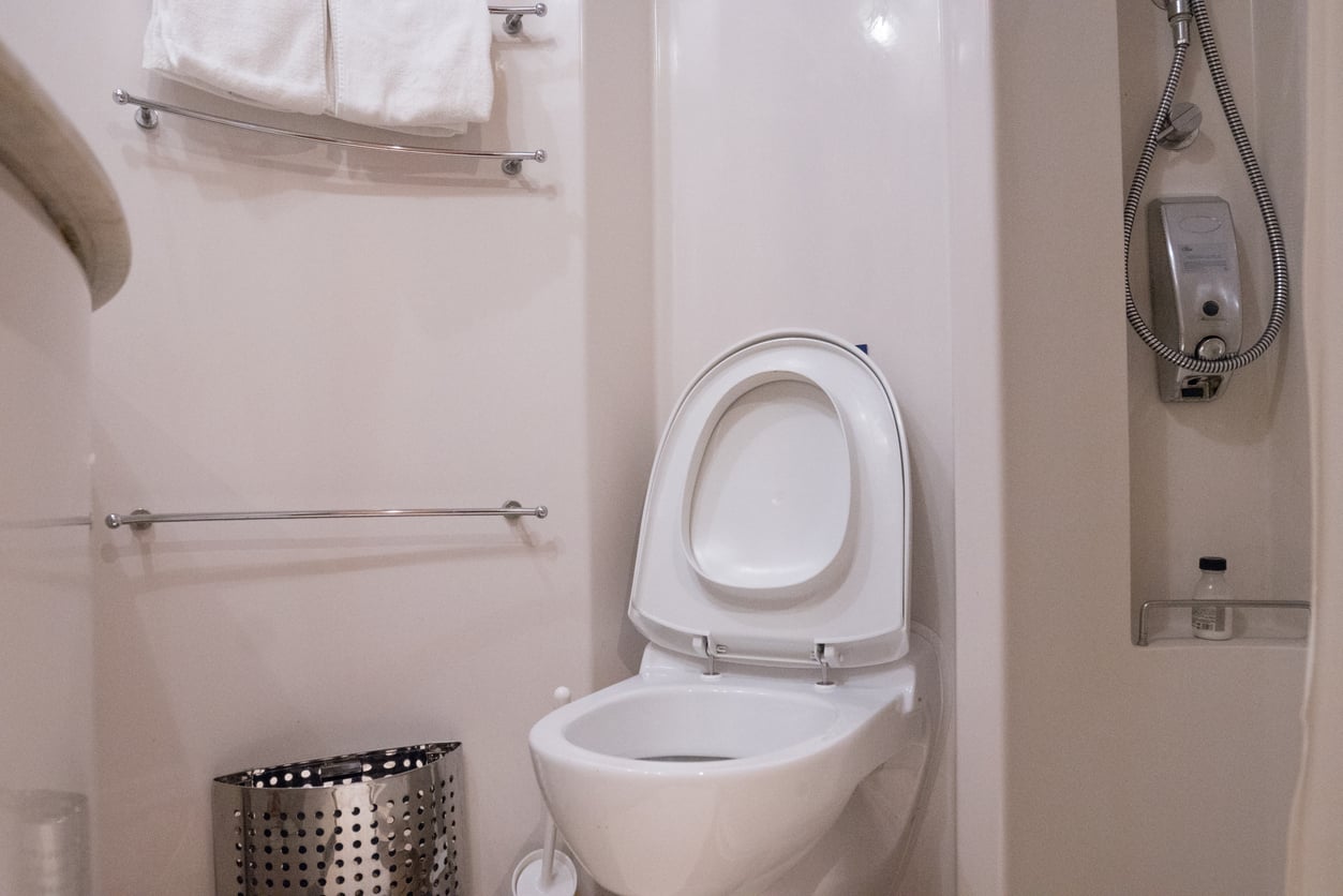 A bathroom featuring a toilet with the lid up, a chrome towel rack with white towels, a metal trash bin, and a wall-mounted shower head.