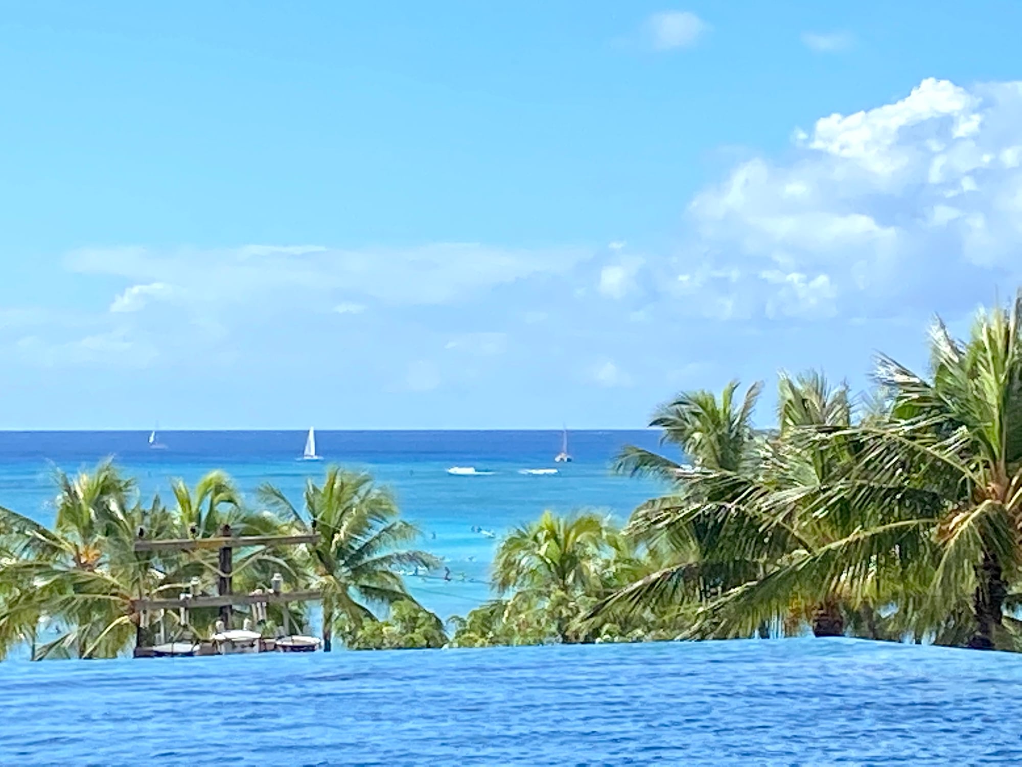 An infinity pool overlooking a tropical beach with palm trees and sailboats on the horizon.