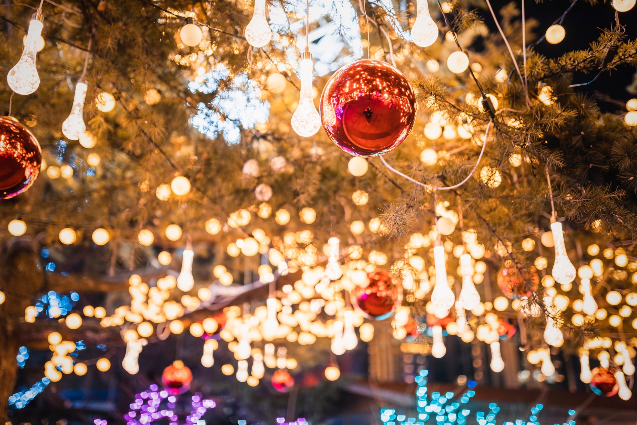 Evergreen branches decorated with glowing string lights and shiny red ornaments.