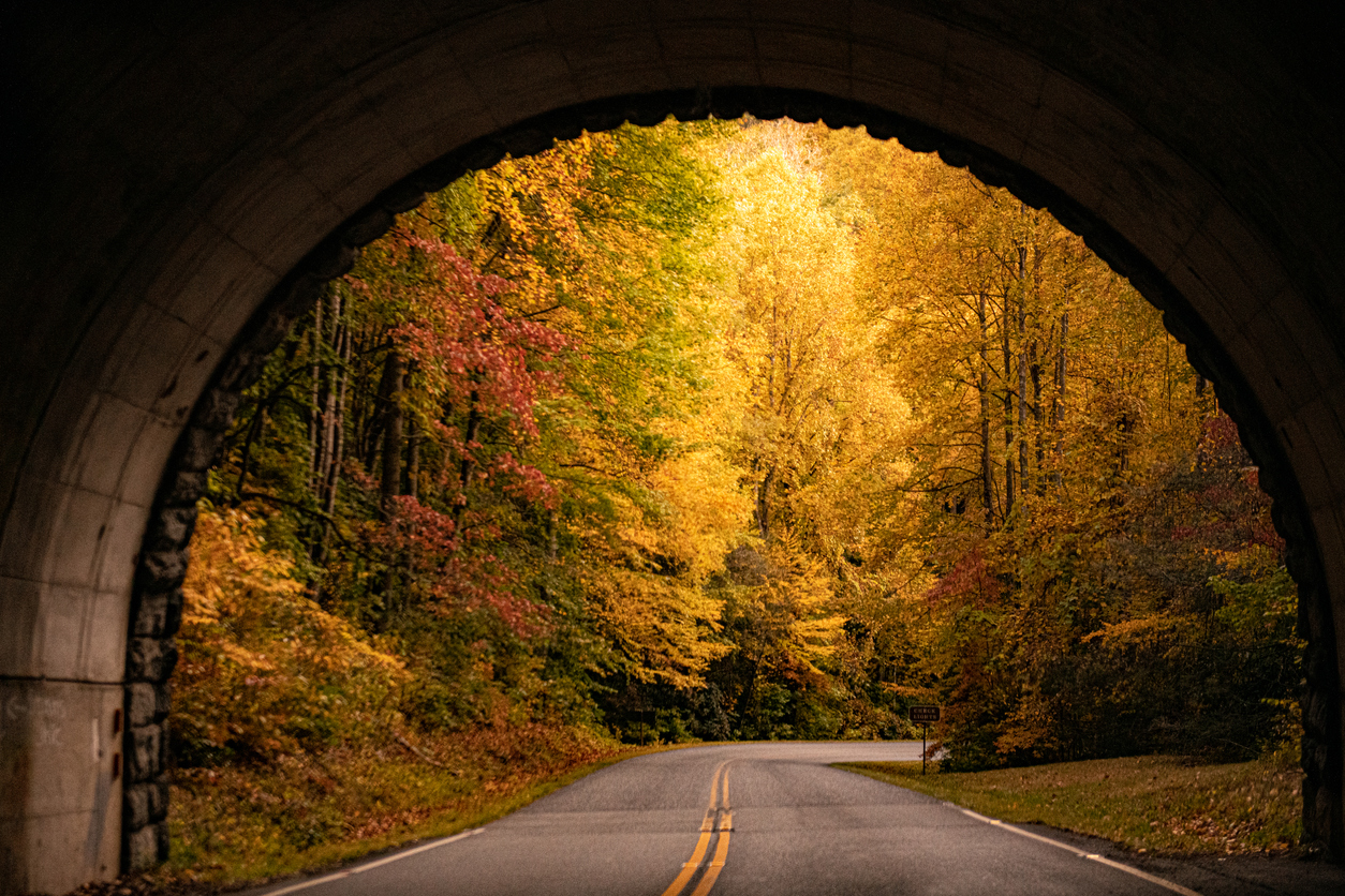 A paved road leads through a stone tunnel into a forest filled with vibrant autumn foliage, one of the best places to hike in the fall.