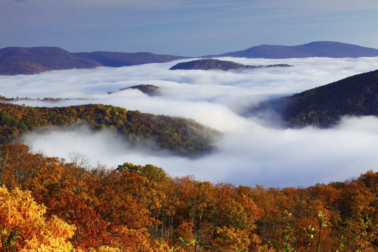 Autumn forest with orange and yellow trees, one of the best places to hike in the fall, overlooking a valley filled with thick low-hanging clouds and distant mountain peaks.