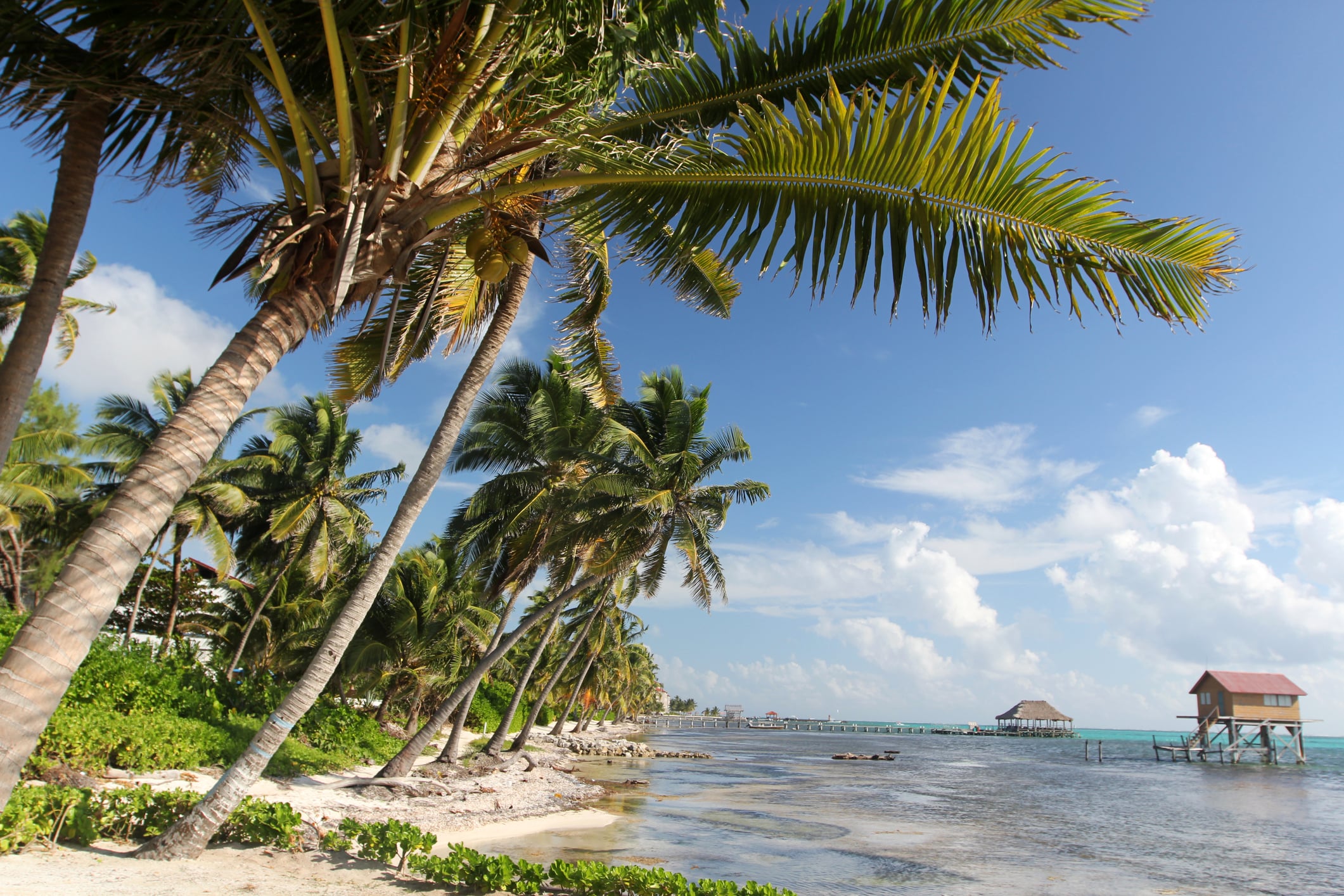 Palm trees lining a sandy beach next to a turquoise sea with a stilt house in the water.