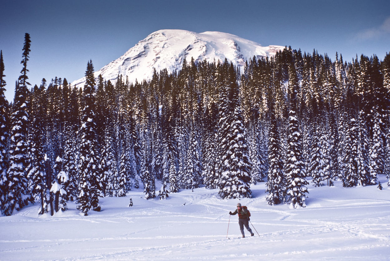 A cross-country skier moves across a snowy clearing in front of a dense pine forest and a snow-capped mountain.
