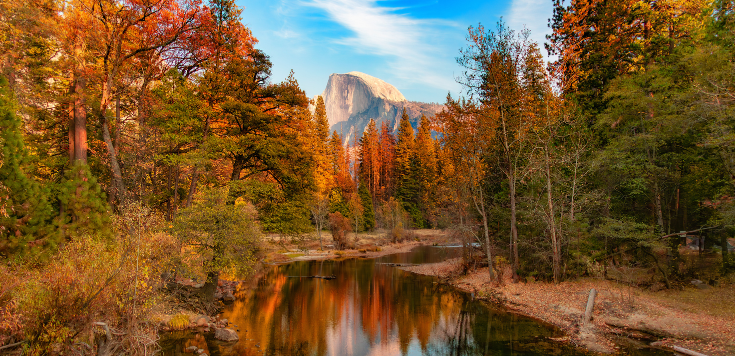 Half Dome rises above a river surrounded by autumn trees, making it one of the premier places to hike in the fall at Yosemite National Park.