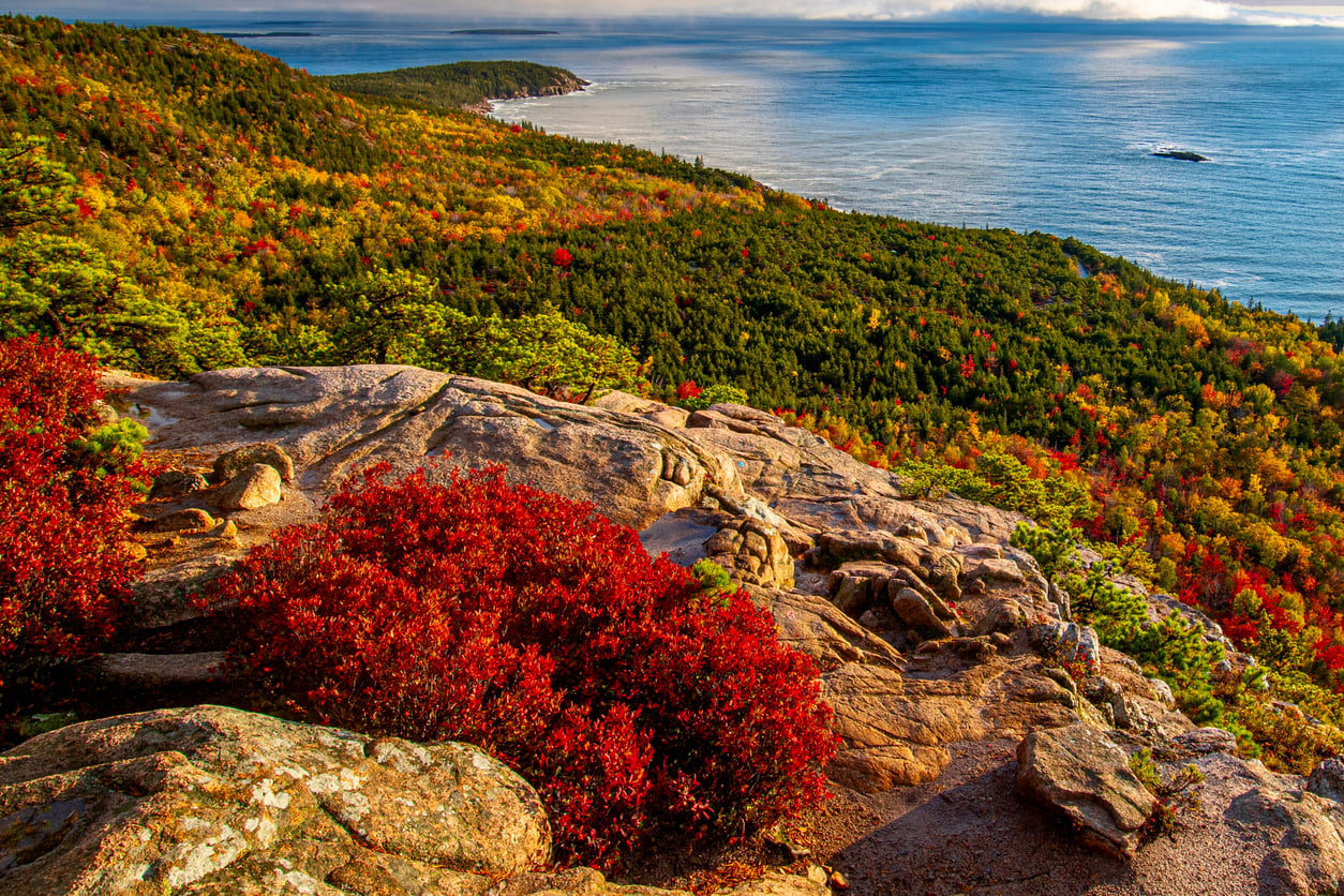 A rocky coastal cliff overlooking a forest covered in autumn foliage meeting the ocean.