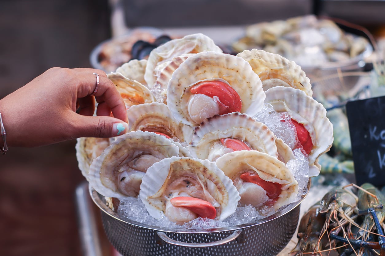A hand reaches for a fresh scallop in a metal bowl filled with ice, surrounded by other raw seafood.